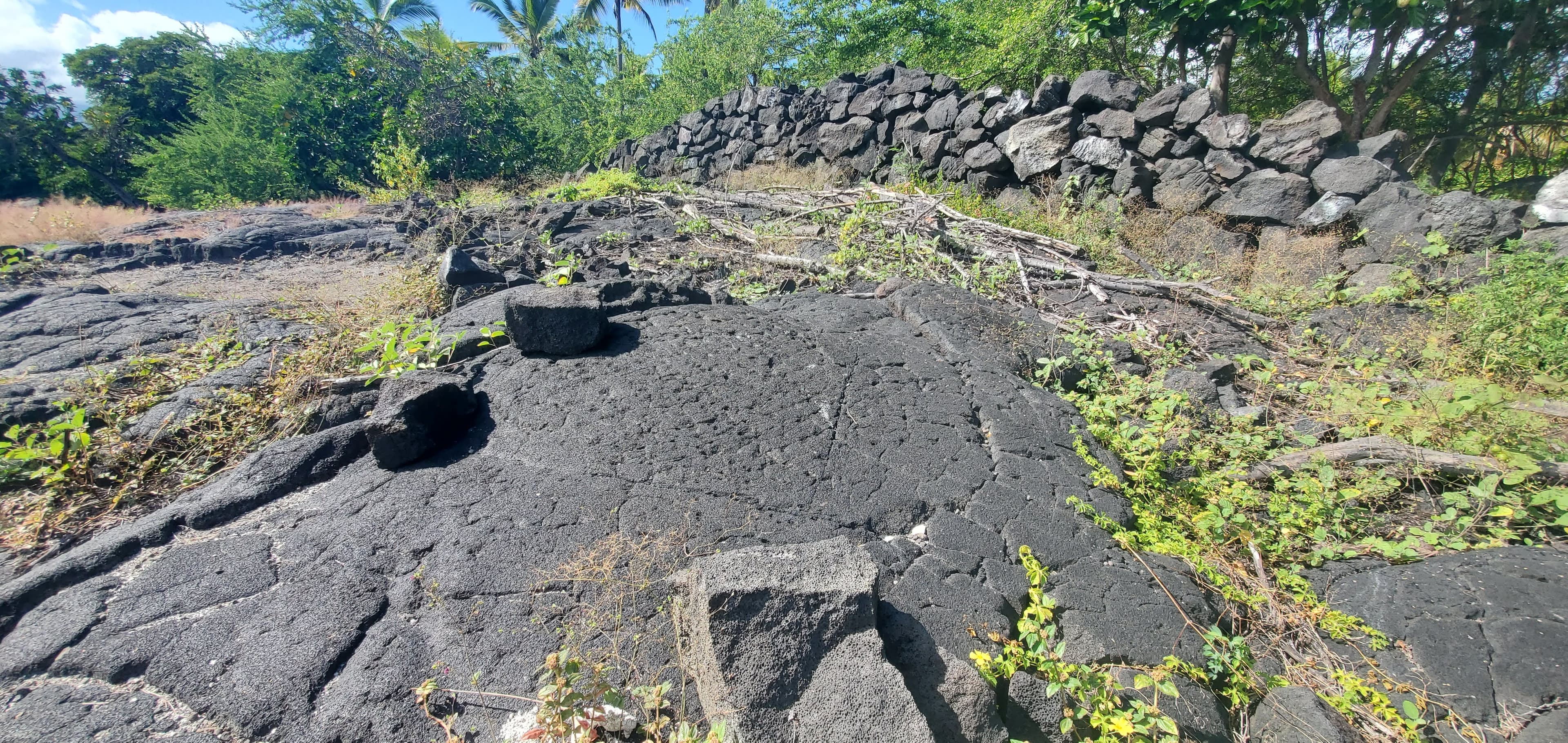 B - Kōnane Papamū