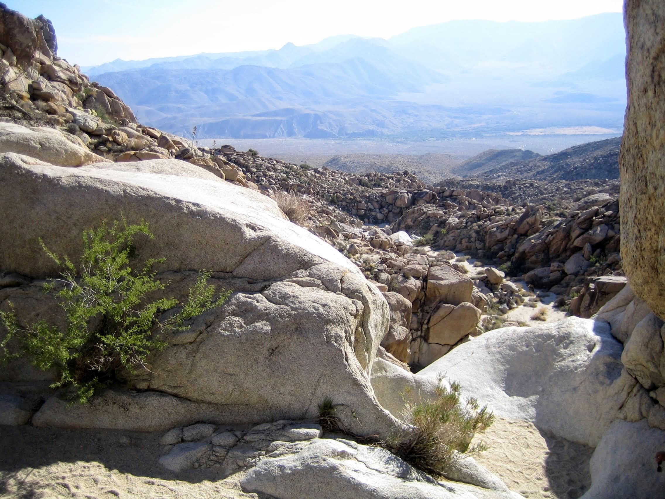 Anza-Borrego Desert State Park