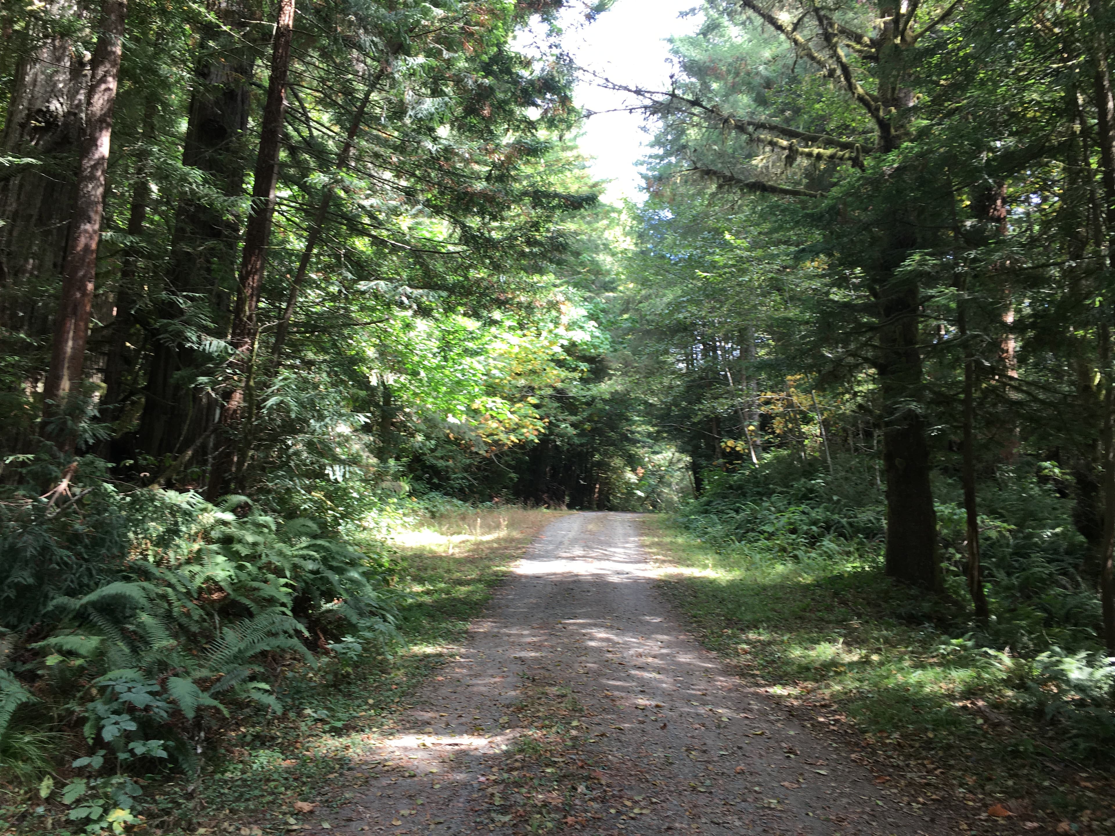 Davison Trail: South Access