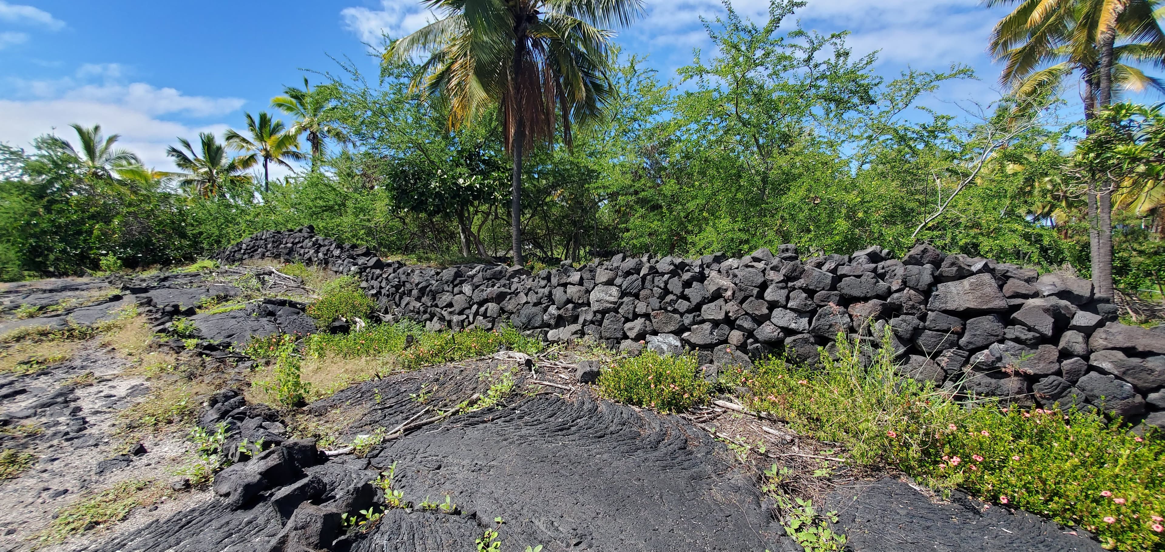 C - Stone Walls & Curbstones