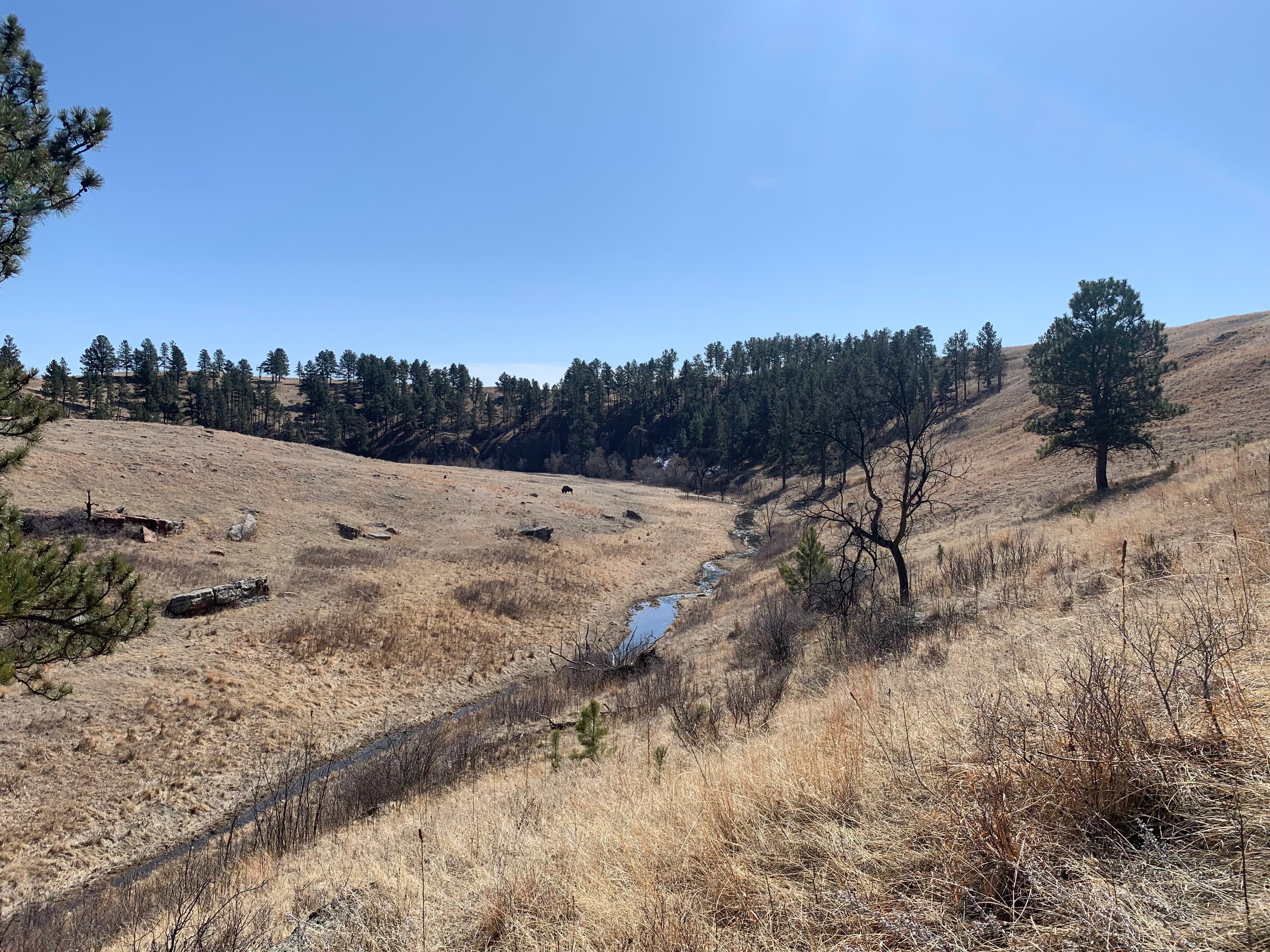 Lookout Point Trail
