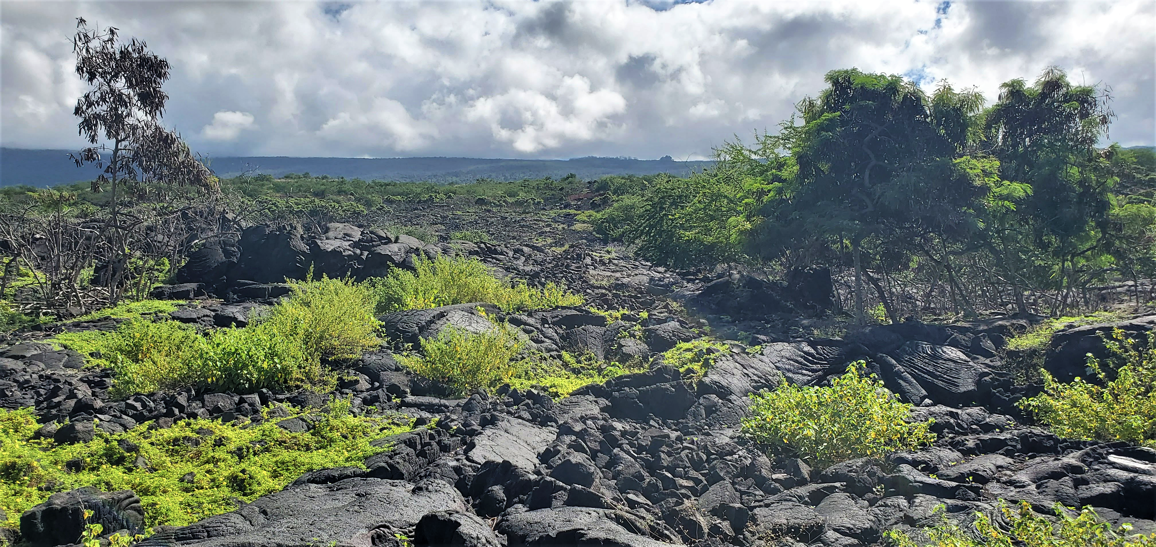 E - Kēōkea Hōlua