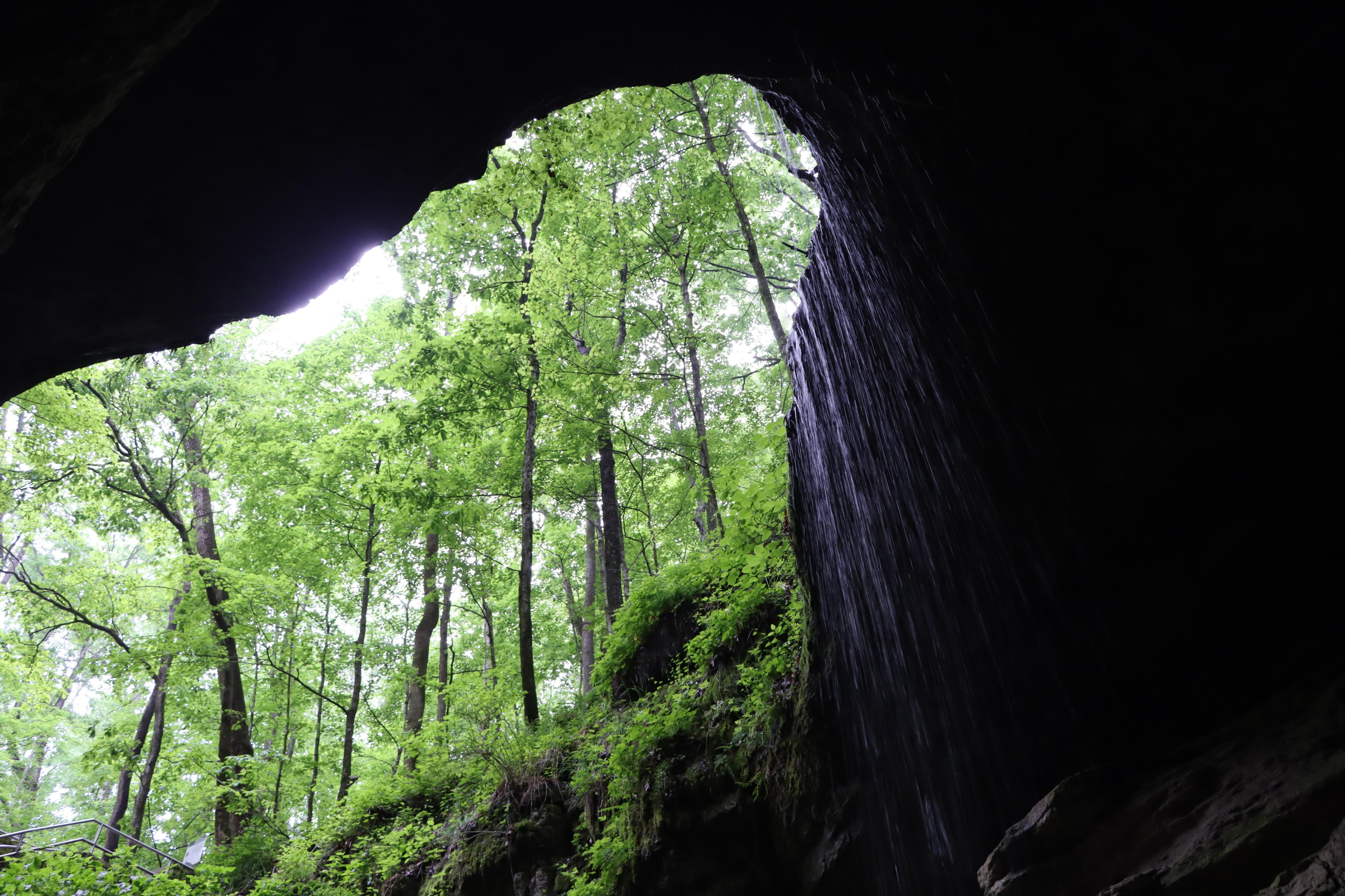 Mammoth Cave National Park