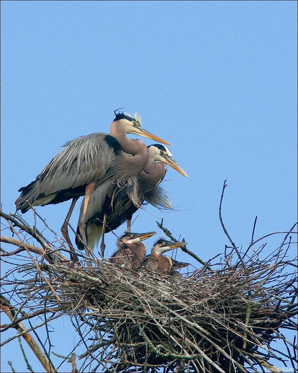 Chattahoochee River National Recreation Area