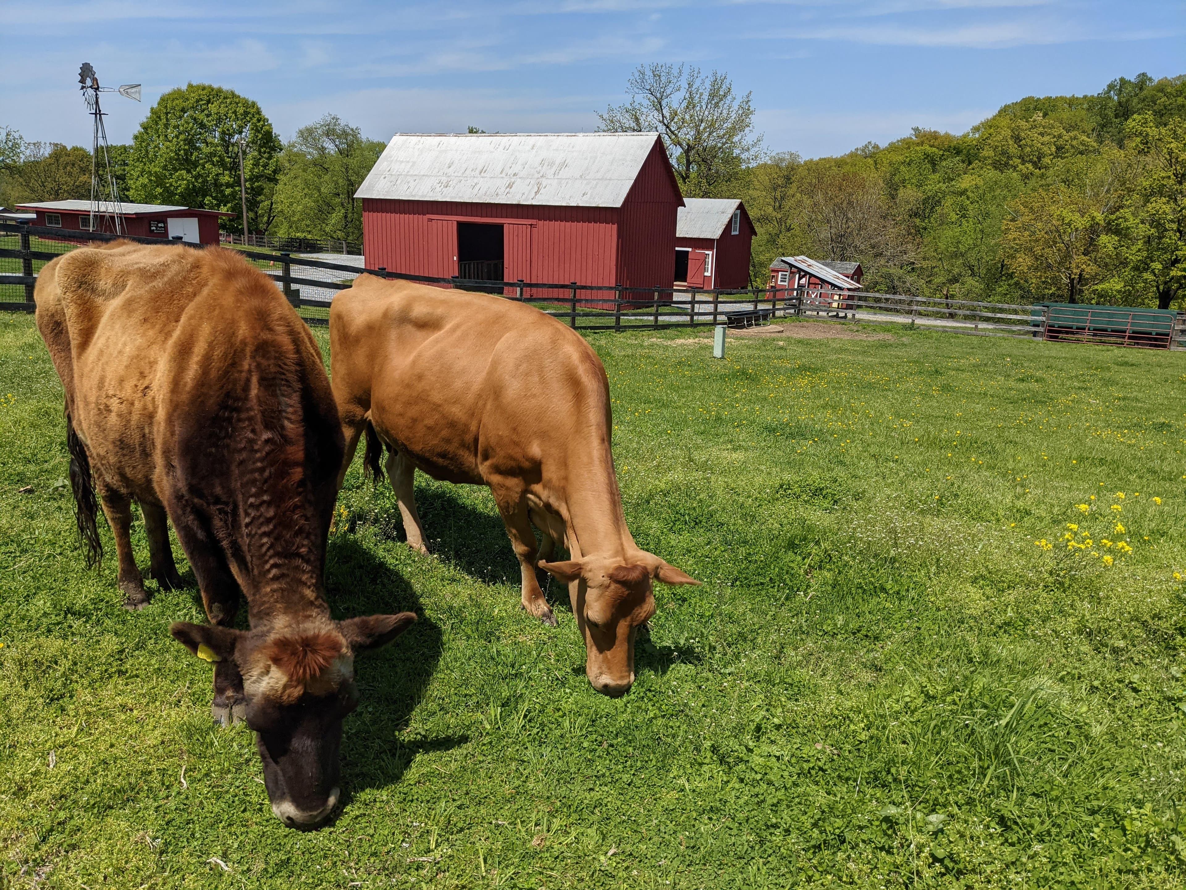 Oxon Cove Park & Oxon Hill Farm