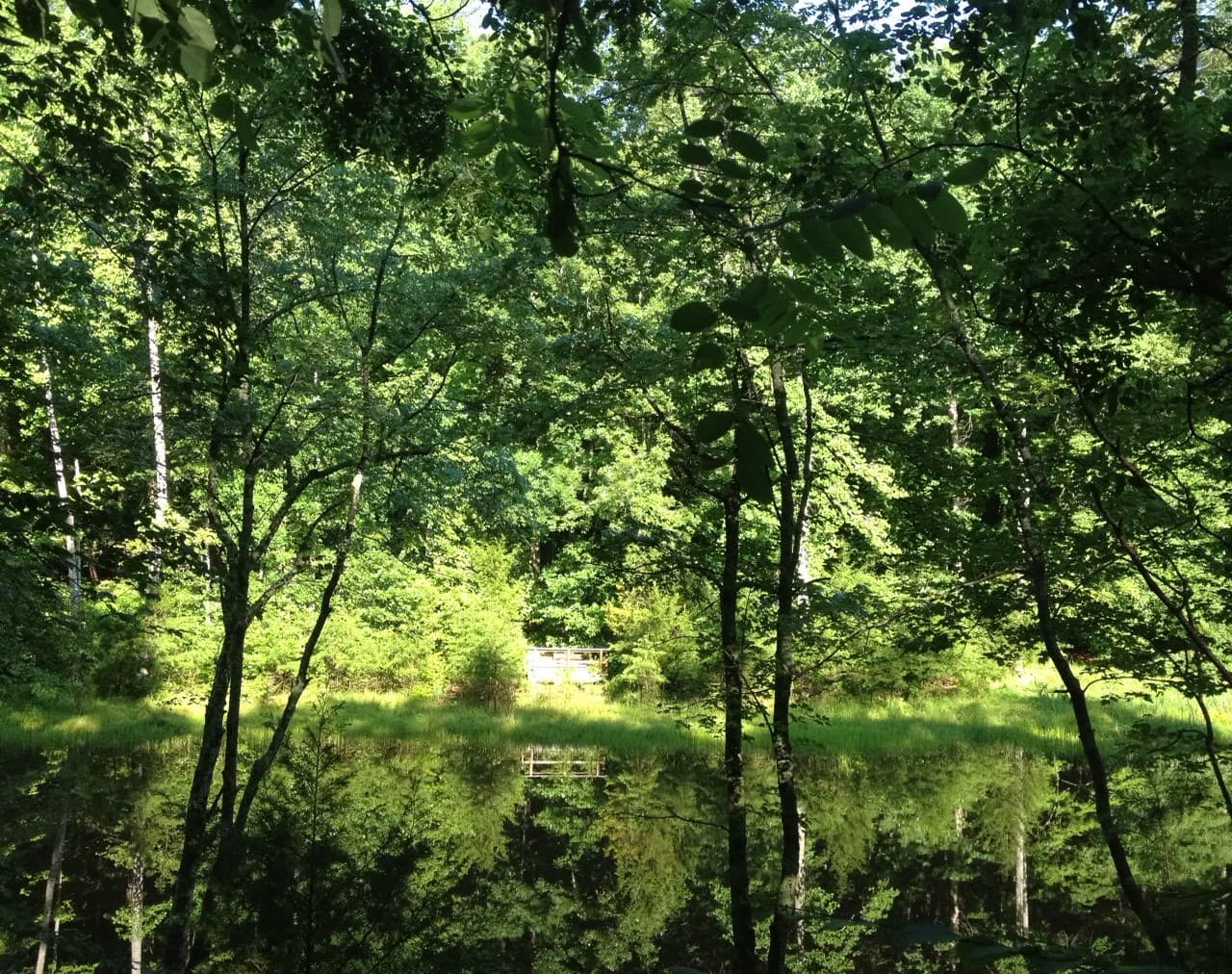 Prince William Forest Park