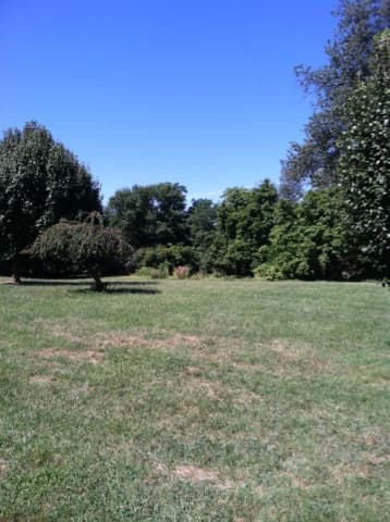 Fort Dupont Park