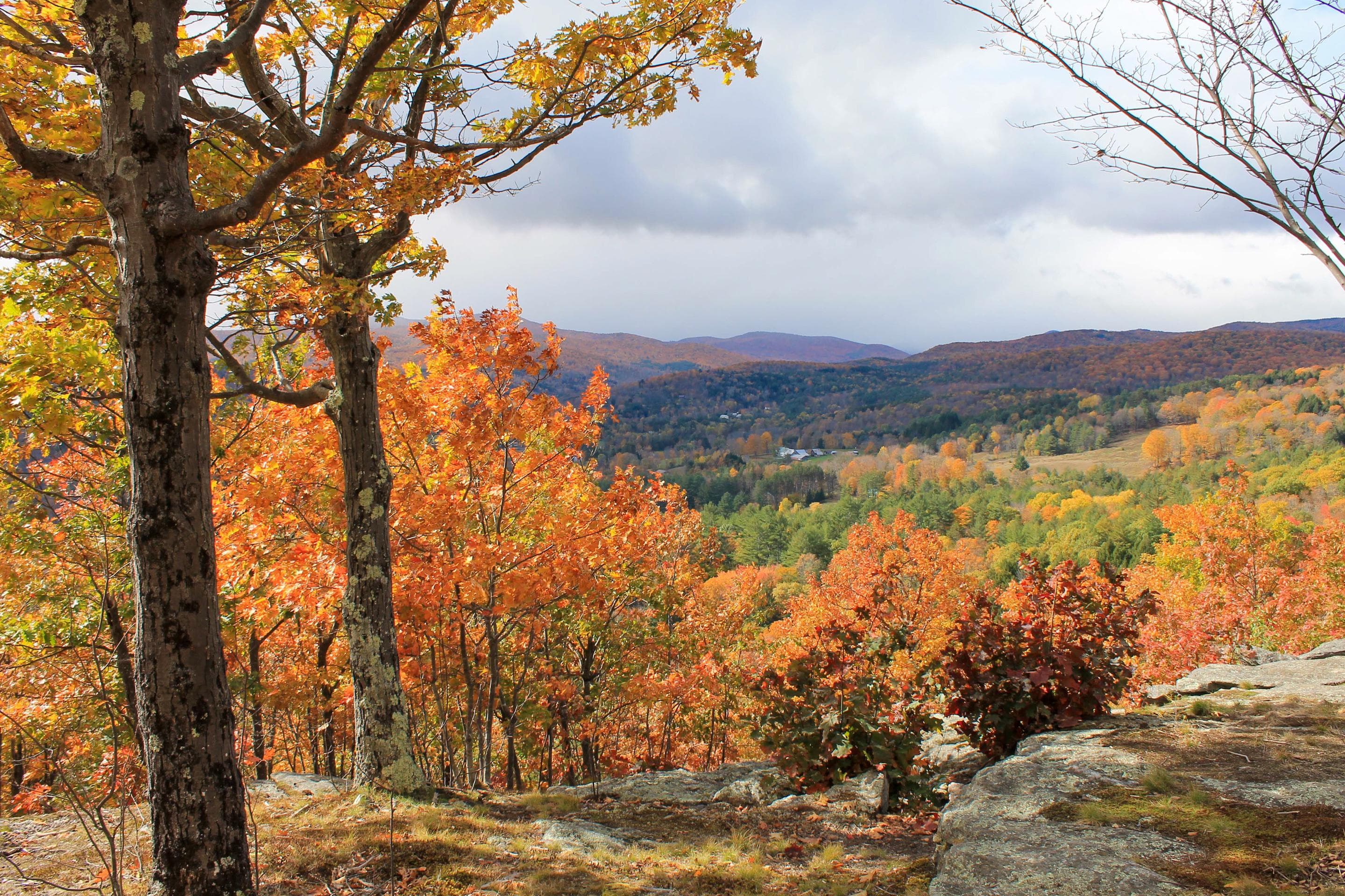 Marsh - Billings - Rockefeller National Historical Park