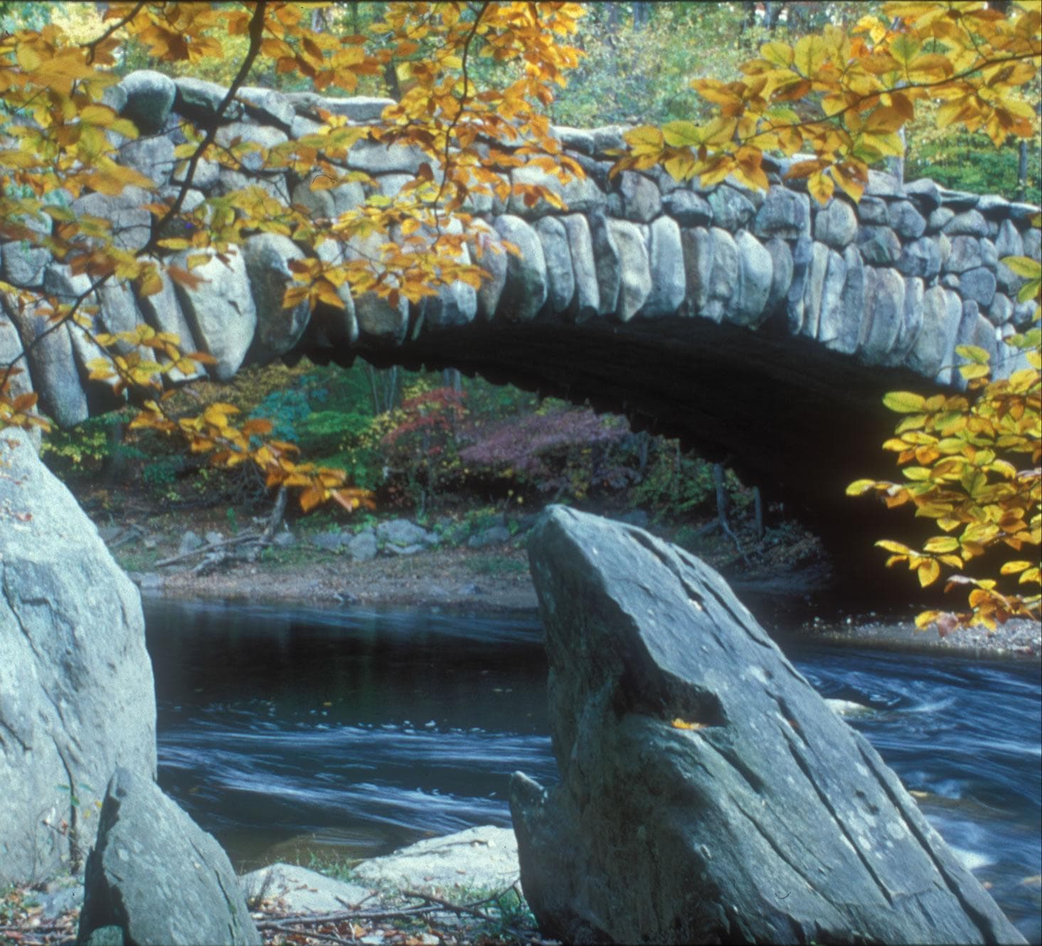 Rock Creek Park