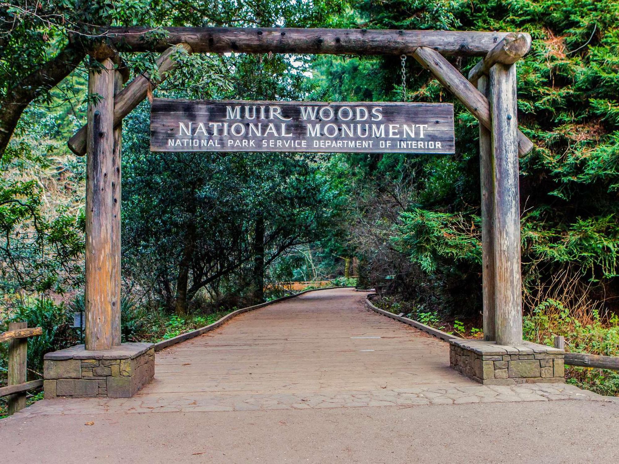 Muir Woods National Monument
