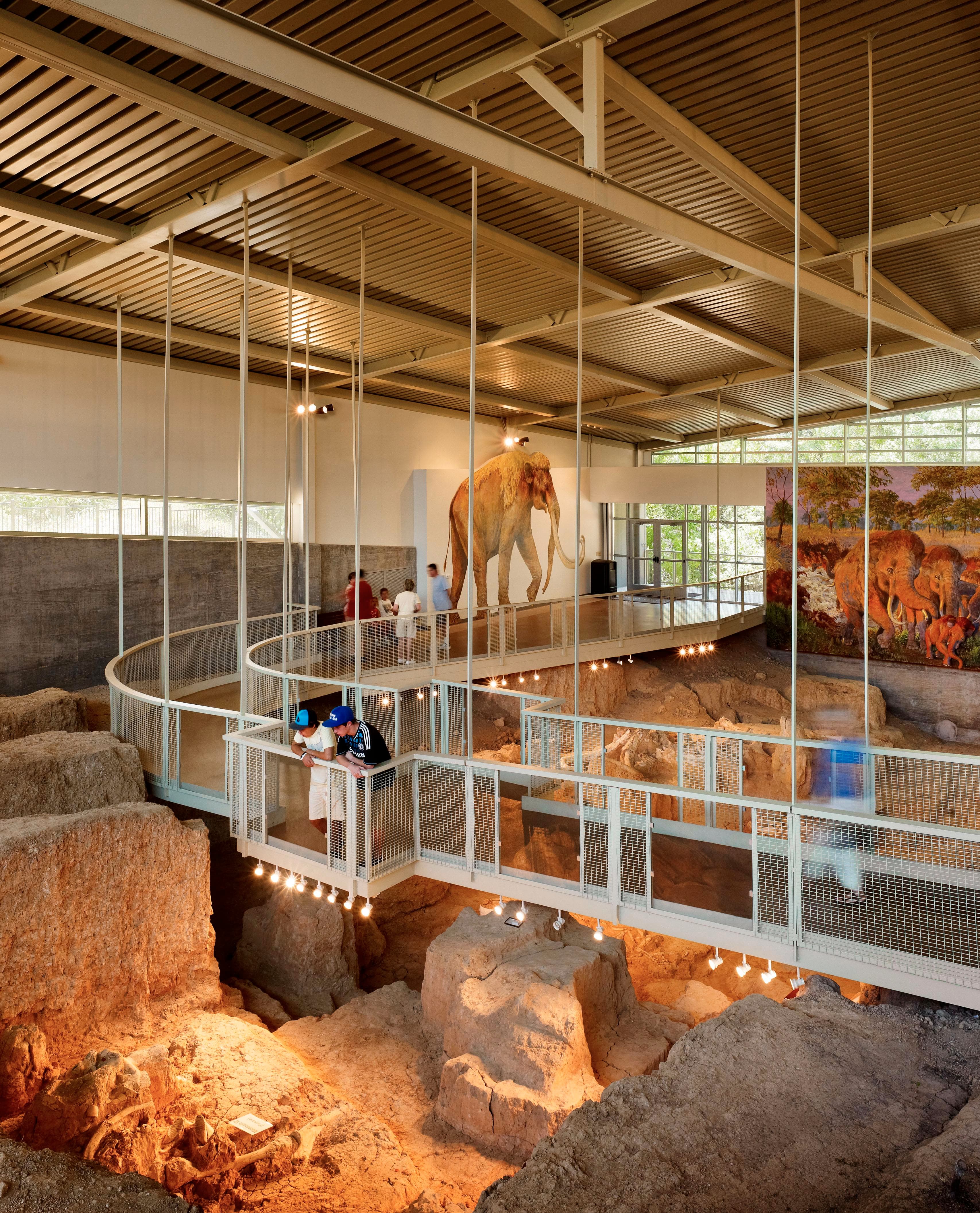 Waco Mammoth National Monument