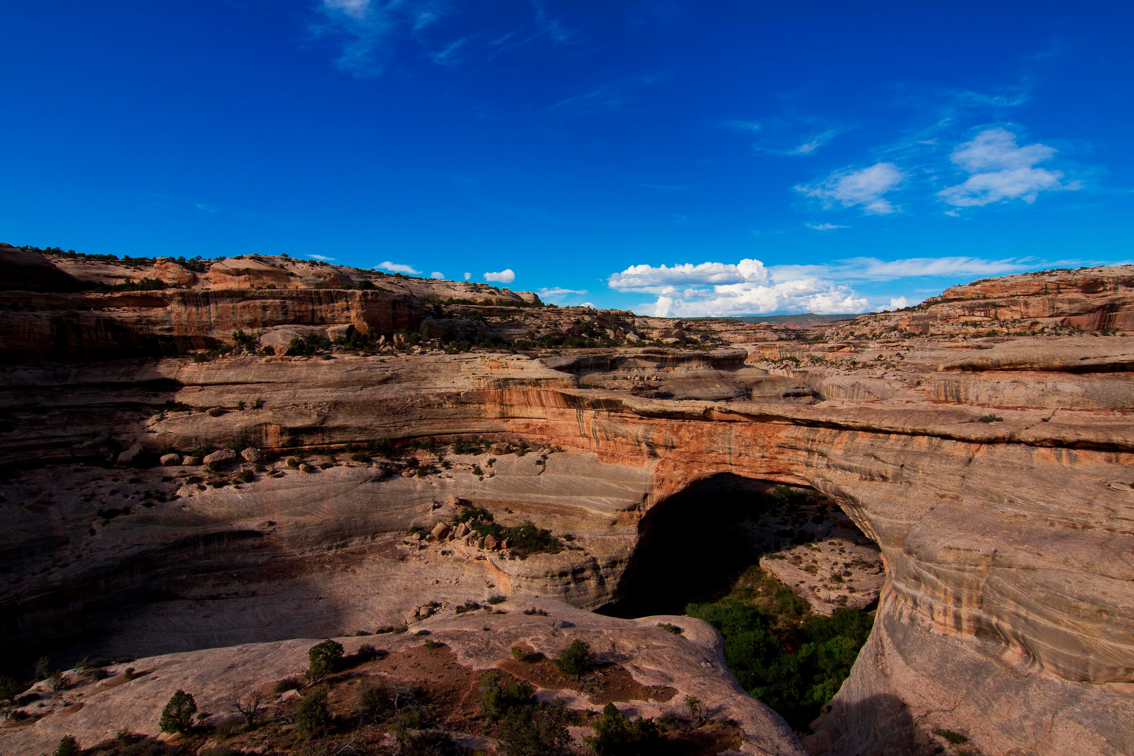 Natural Bridges National Monument