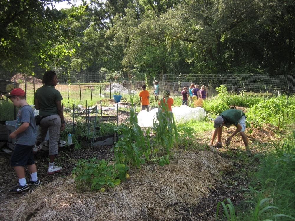 Fort Dupont Park