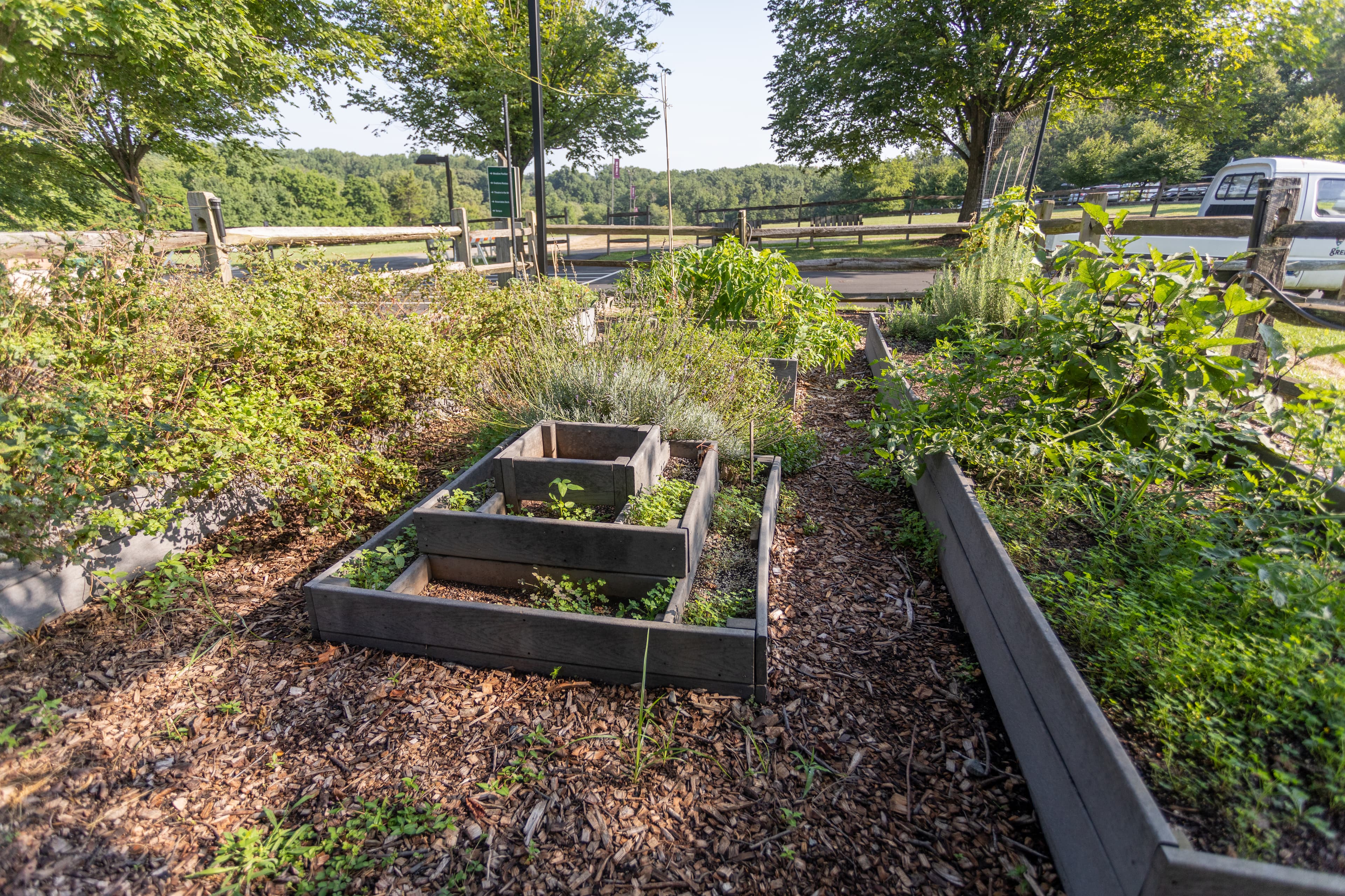 Demonstration Garden