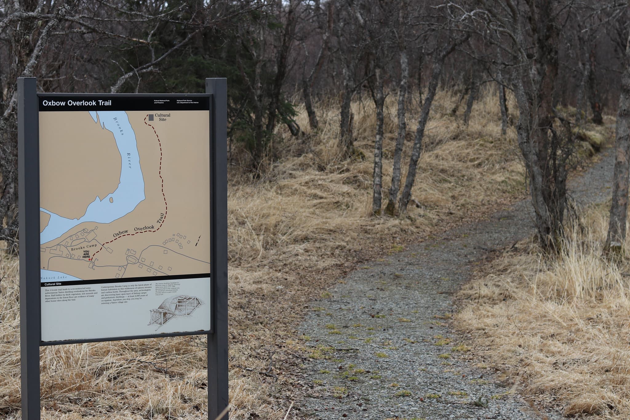Brooks Camp Cultural Site Trailhead