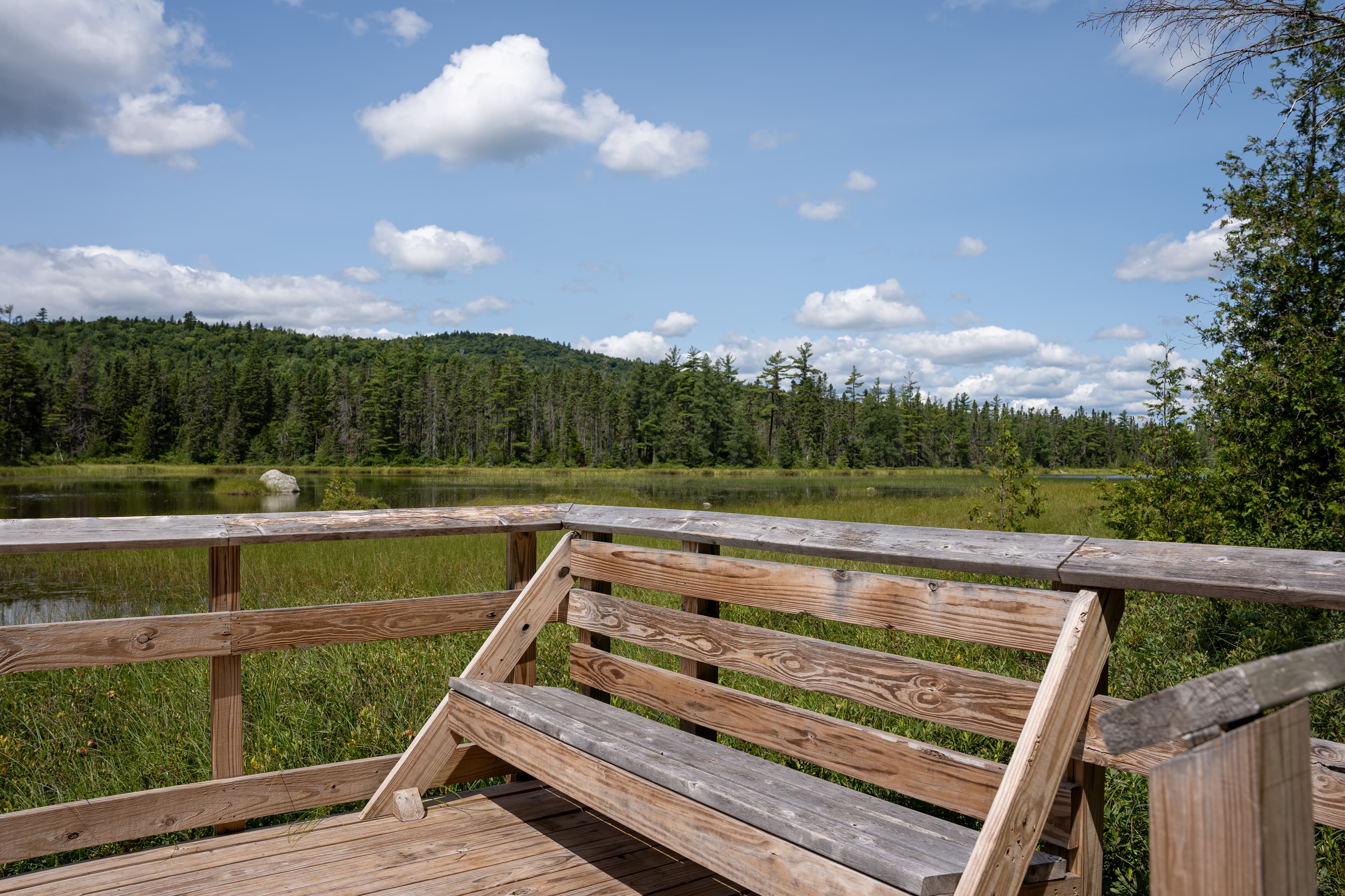 Deasey Ponds