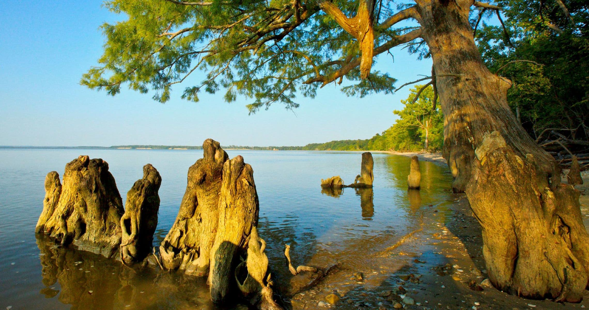 Chippokes State Park
