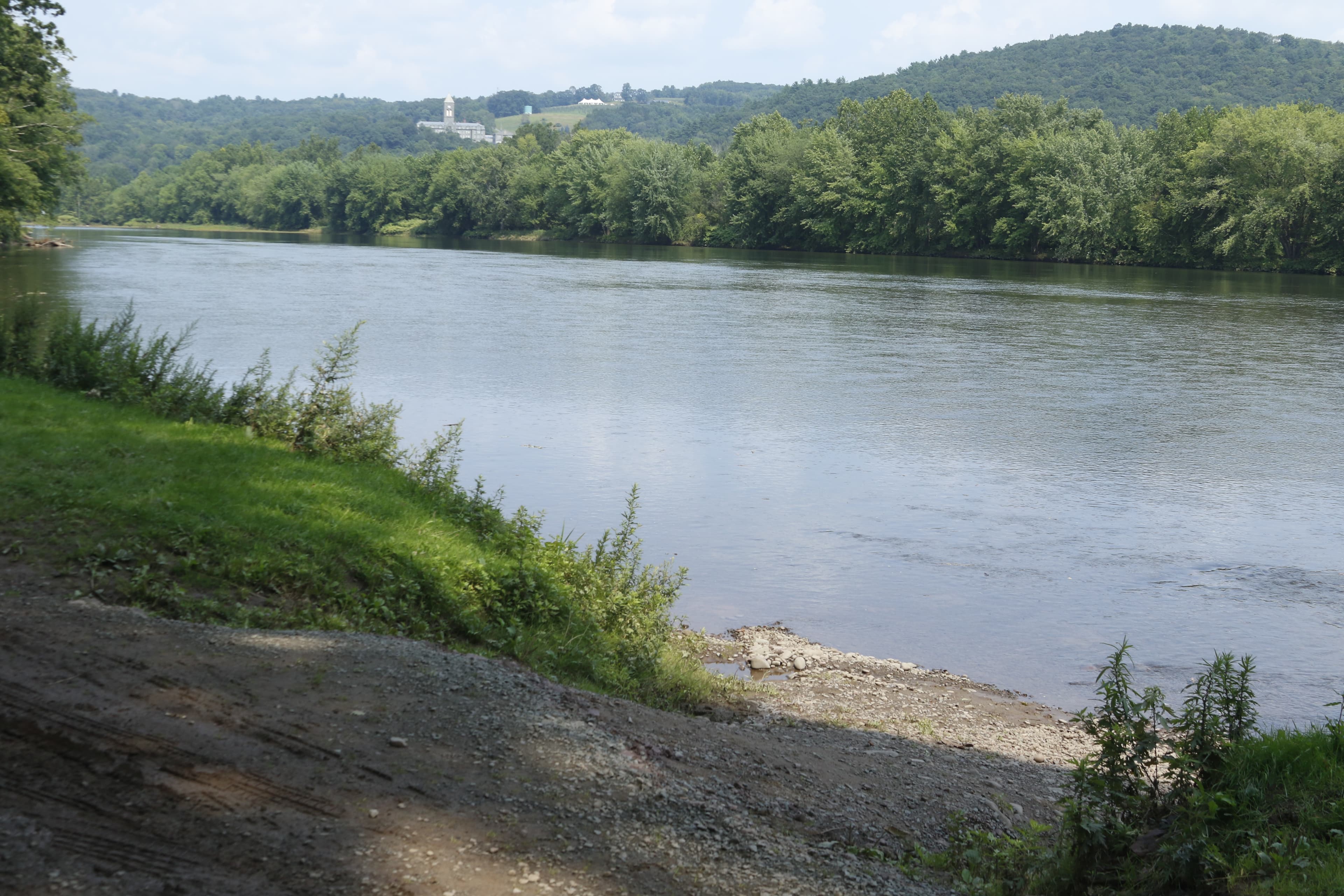Callicoon River Access