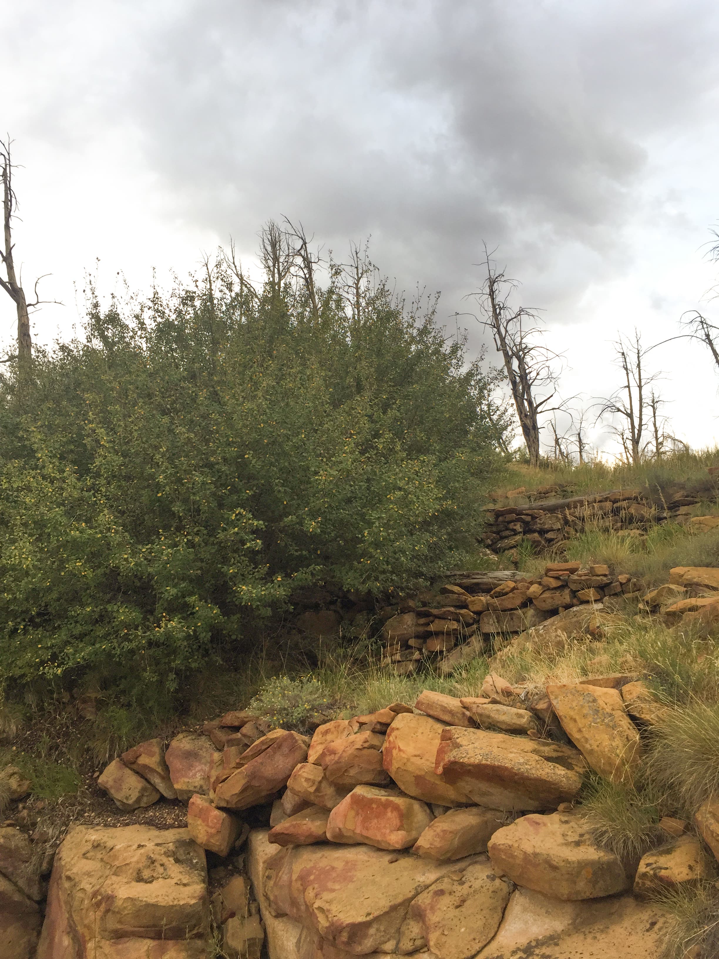 Farming Terrace Trail