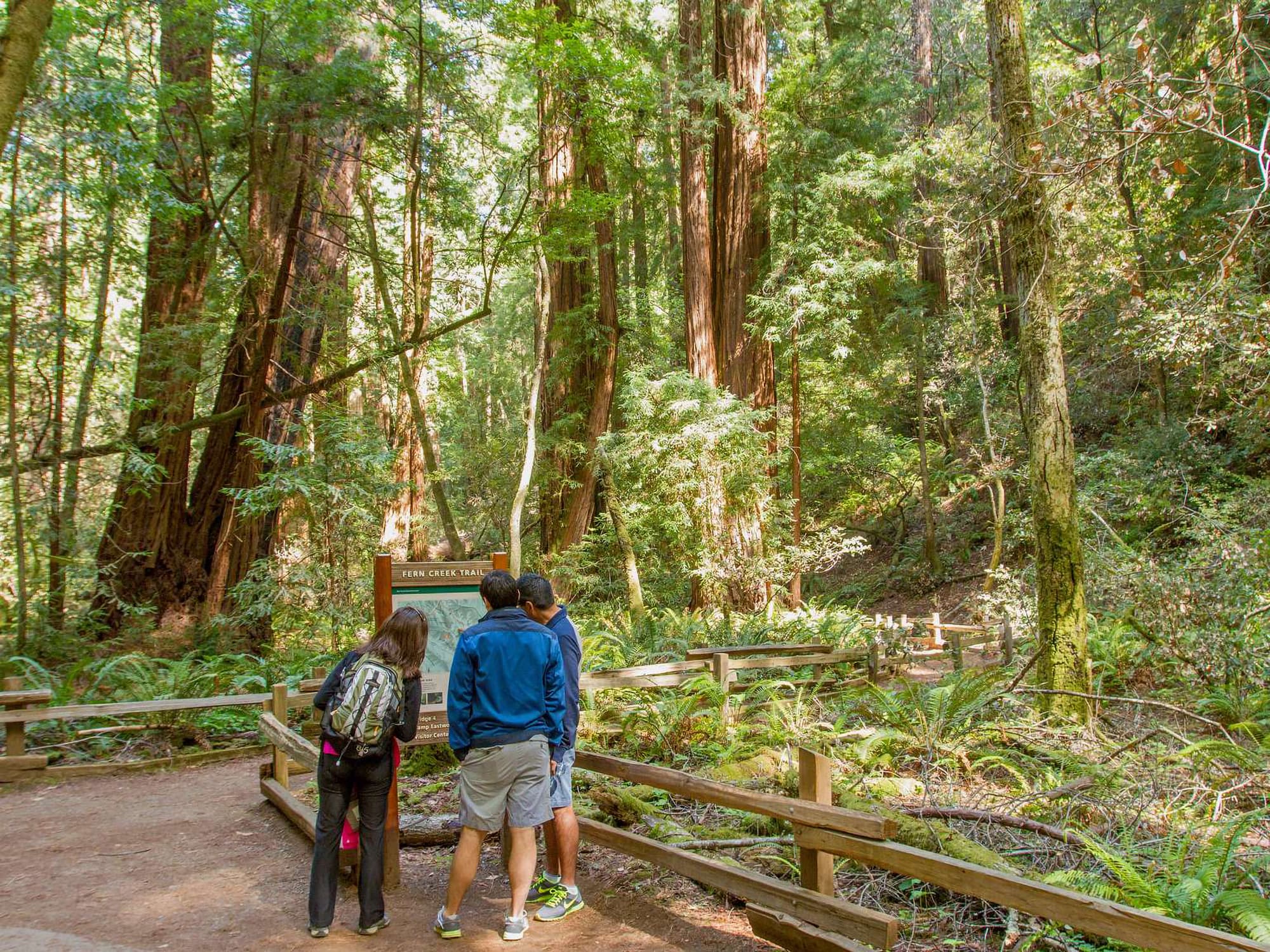 Fern Creek Trailhead