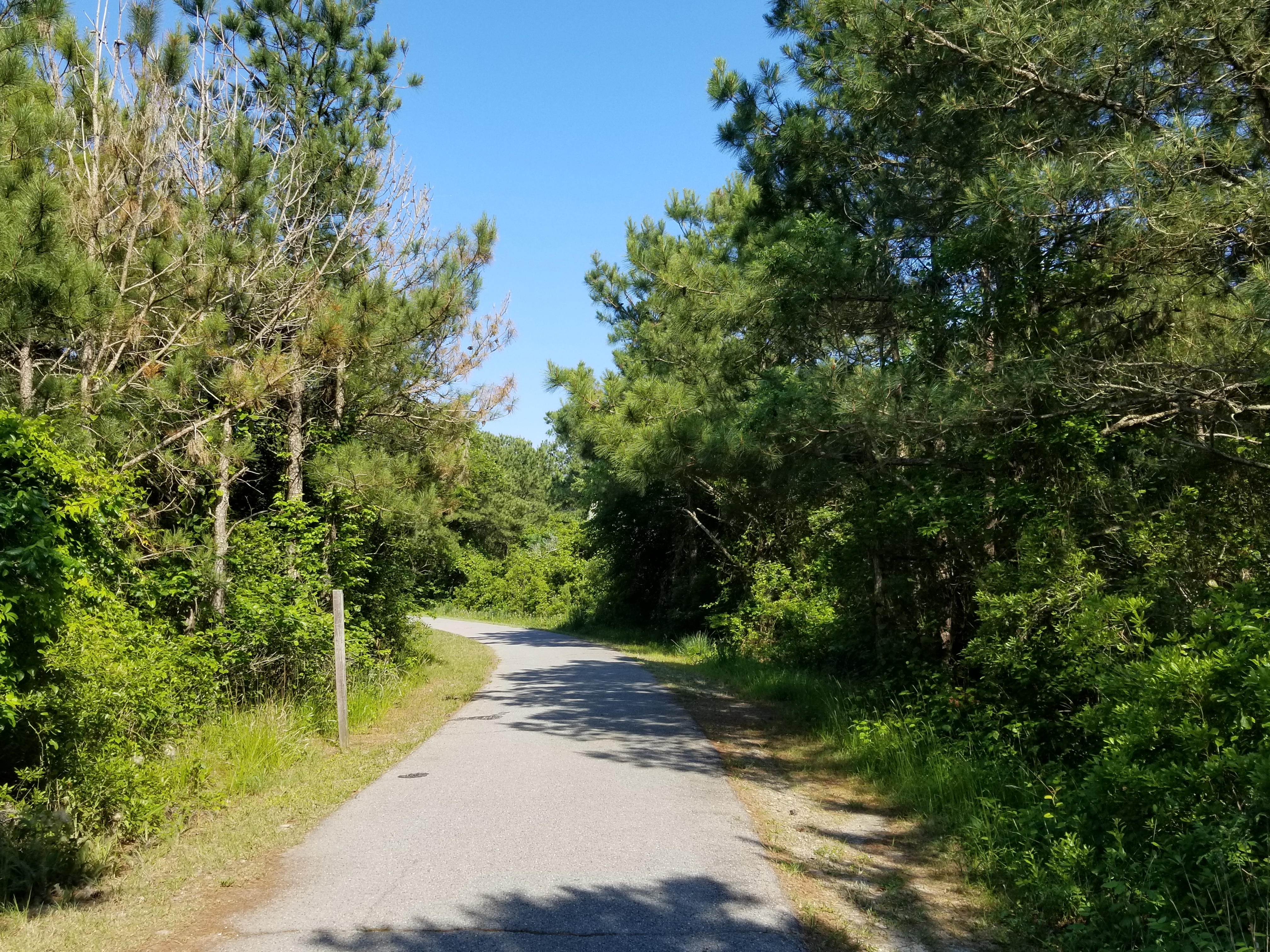VA - Swan Cove Trail