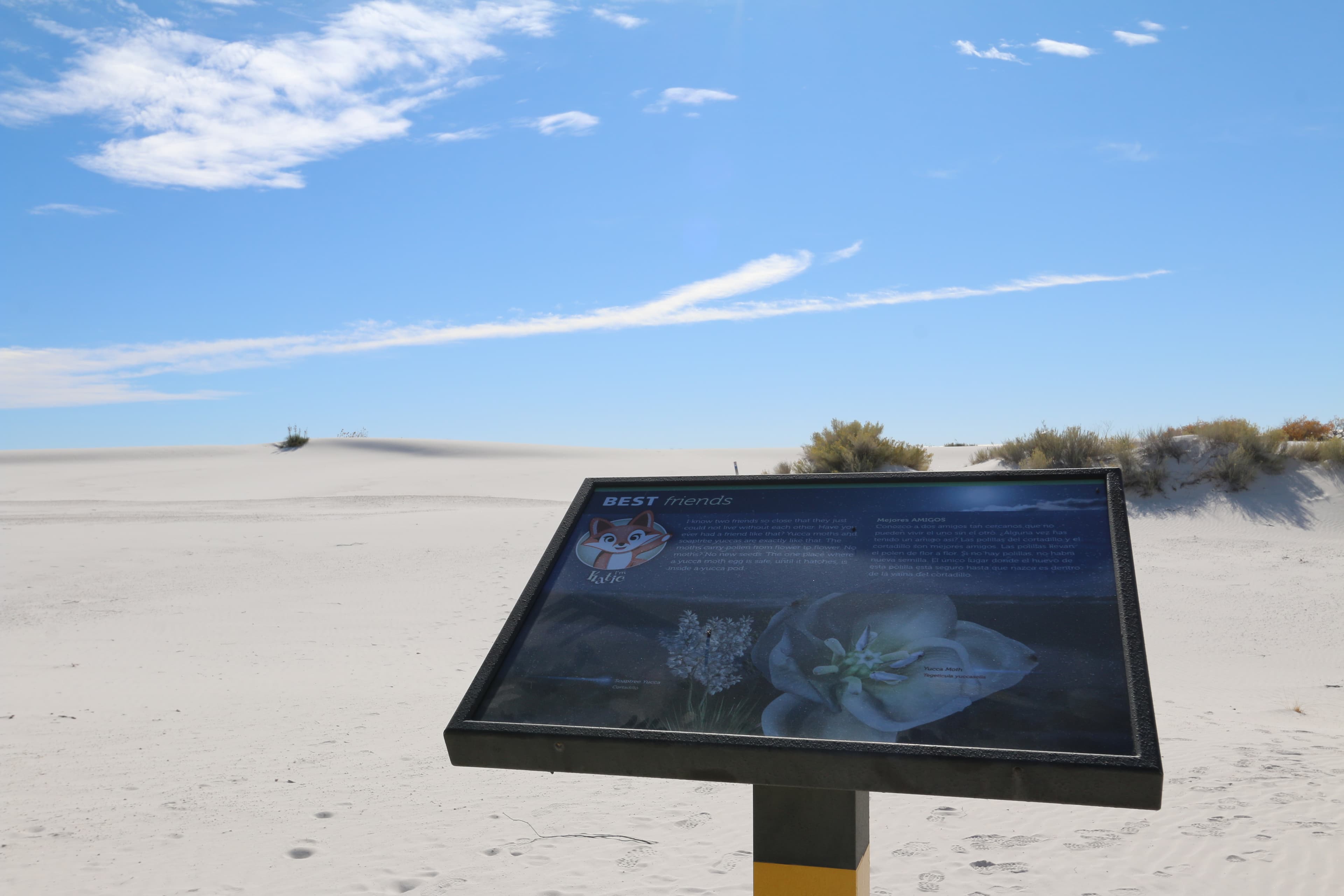 "Best Friends" Interpretive Sign