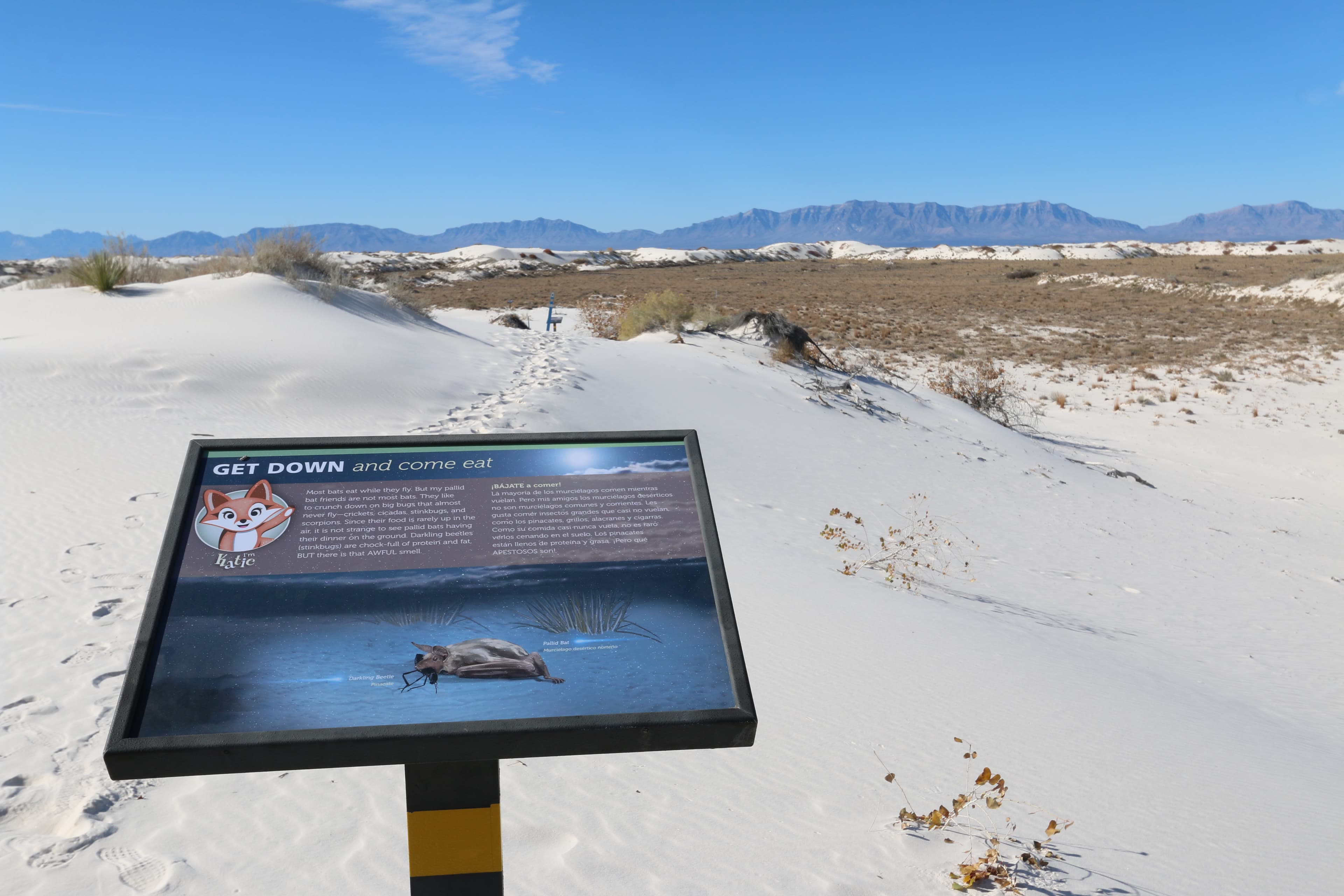 "Get Down and Come Eat" Interpretive Sign