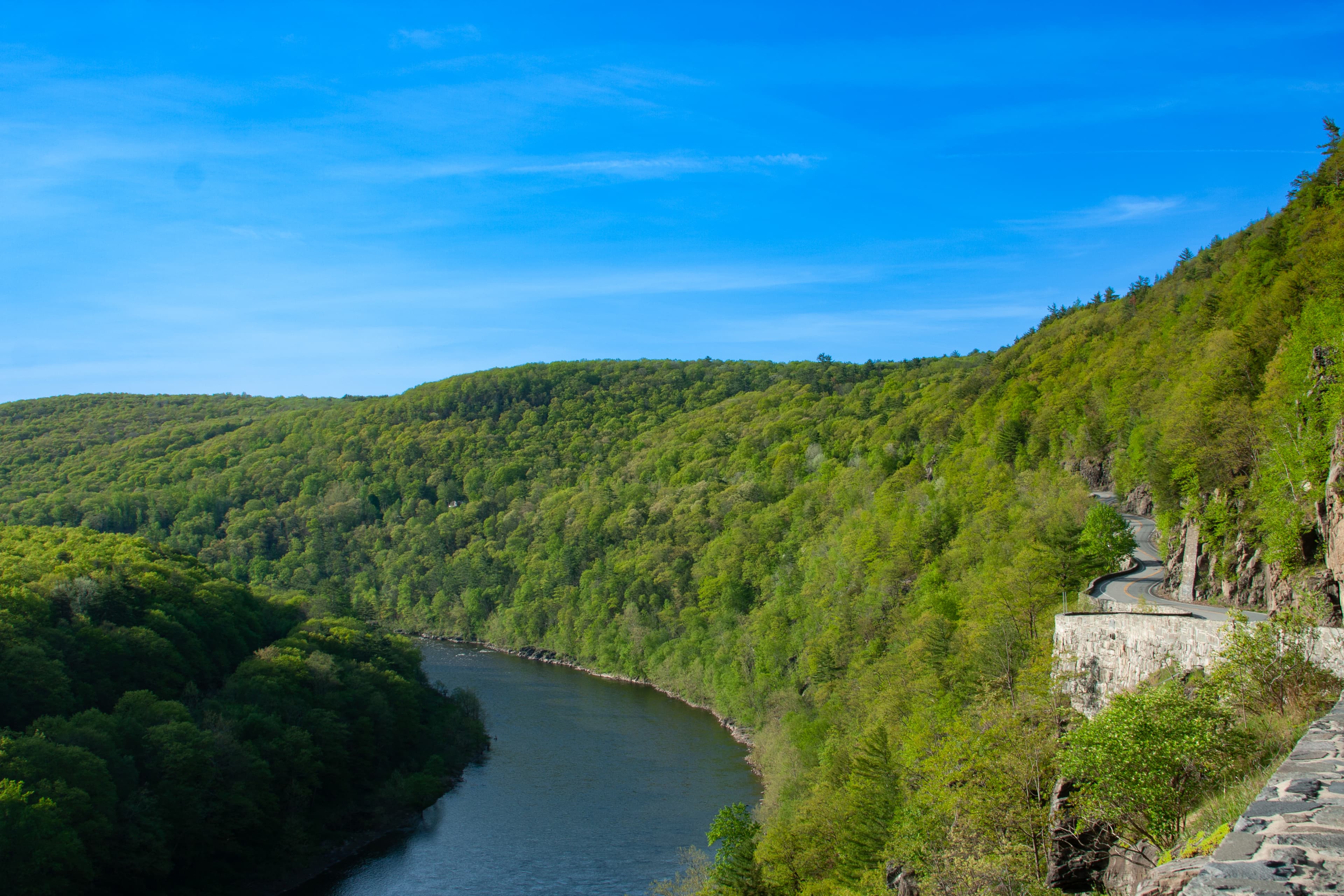 Hawk's Nest