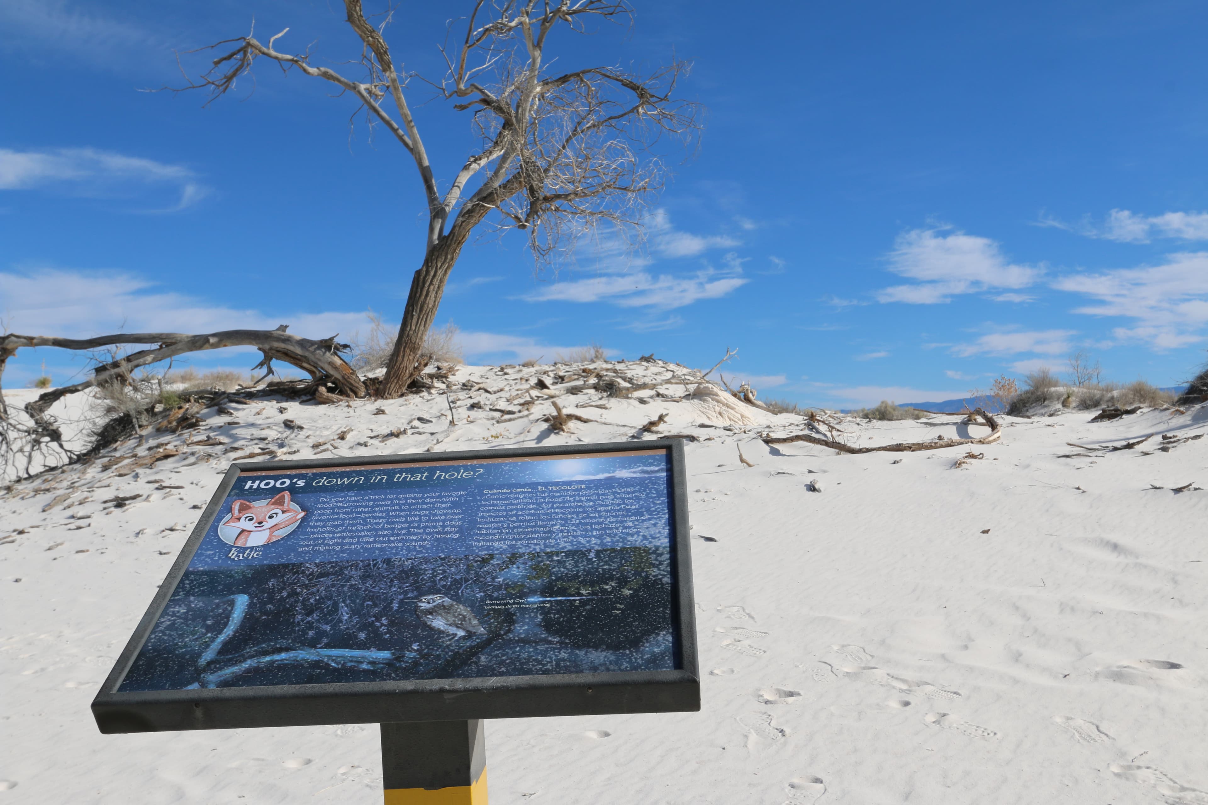 "Hoo’s Down in that Hole?" Interpretive Sign