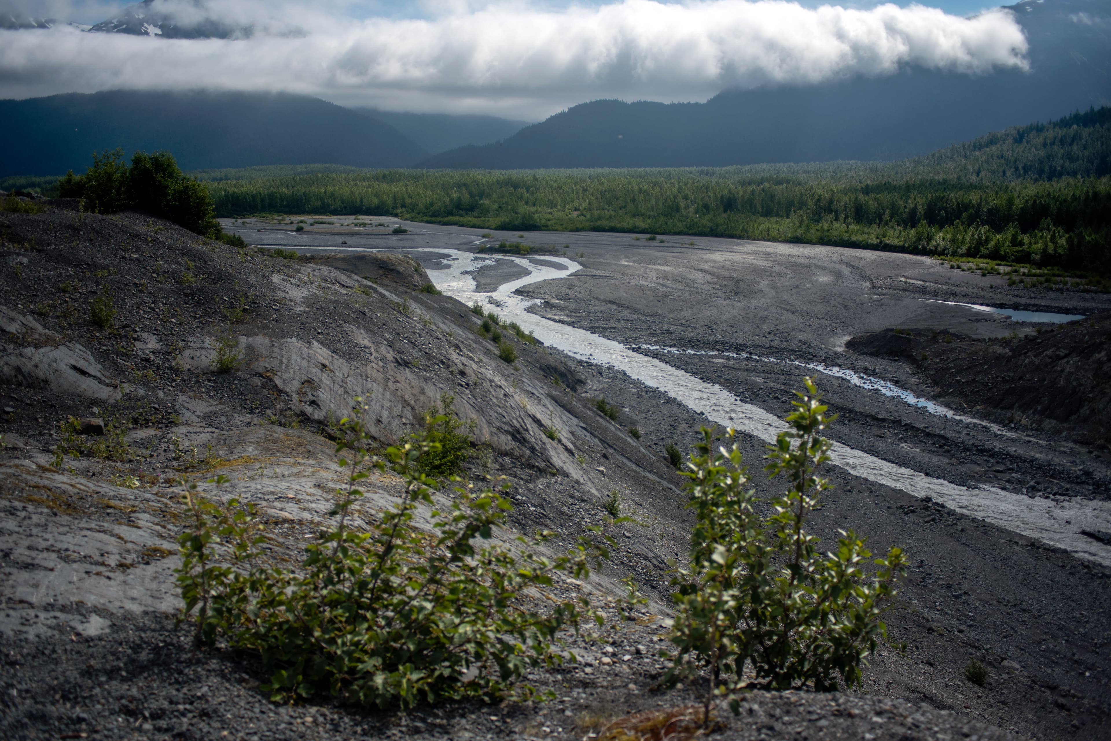 Exit Glacier Outwash Plain