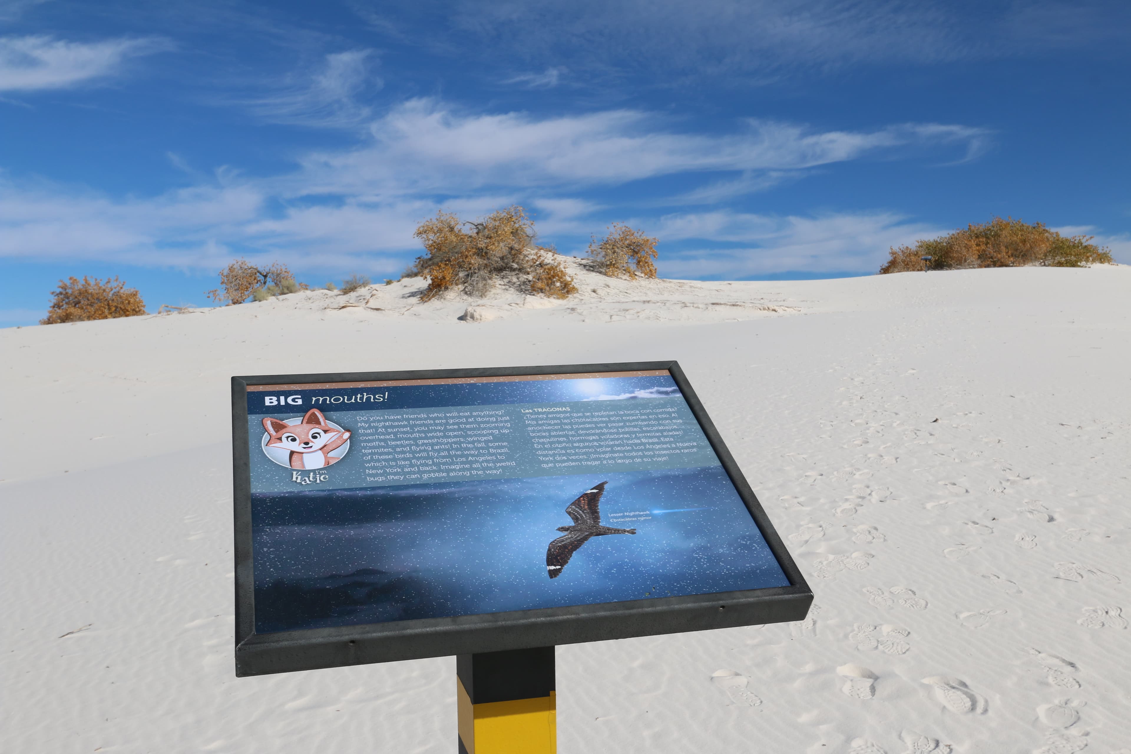 "Big Mouths!" Interpretive Sign