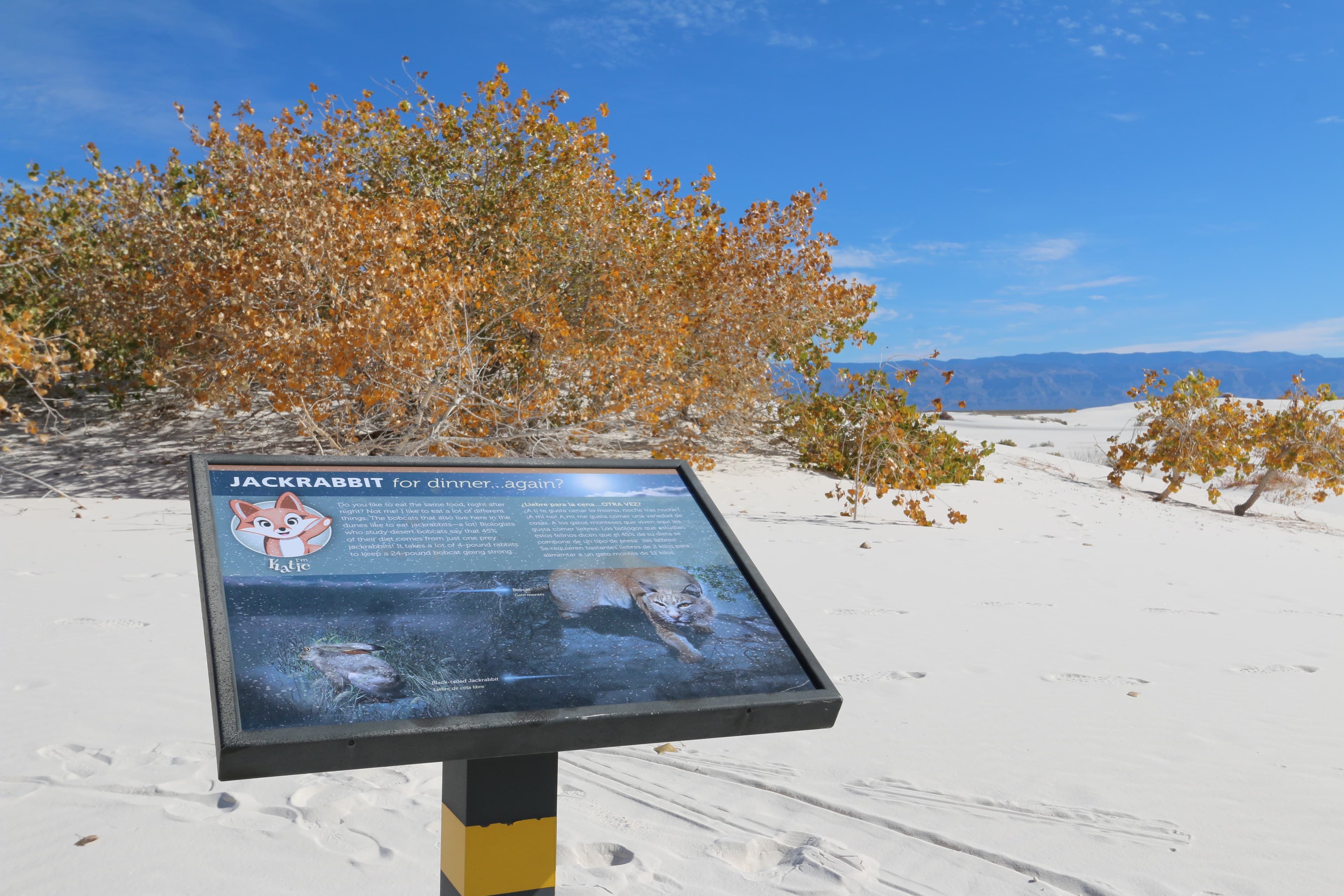 "Jackrabbit for Dinner... Again?" Interpretive Sign