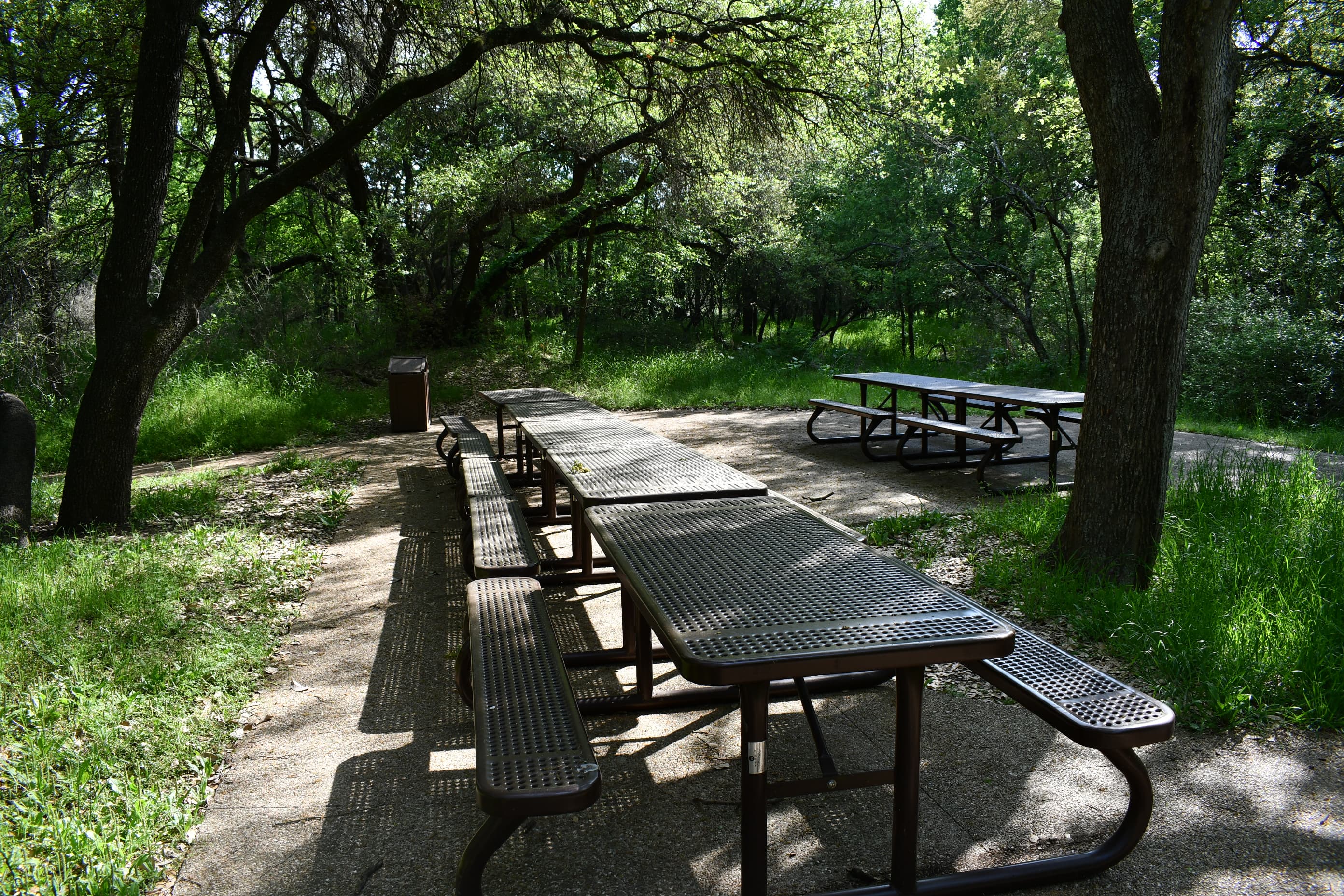 Waco Mammoth National Monument Picnic Area