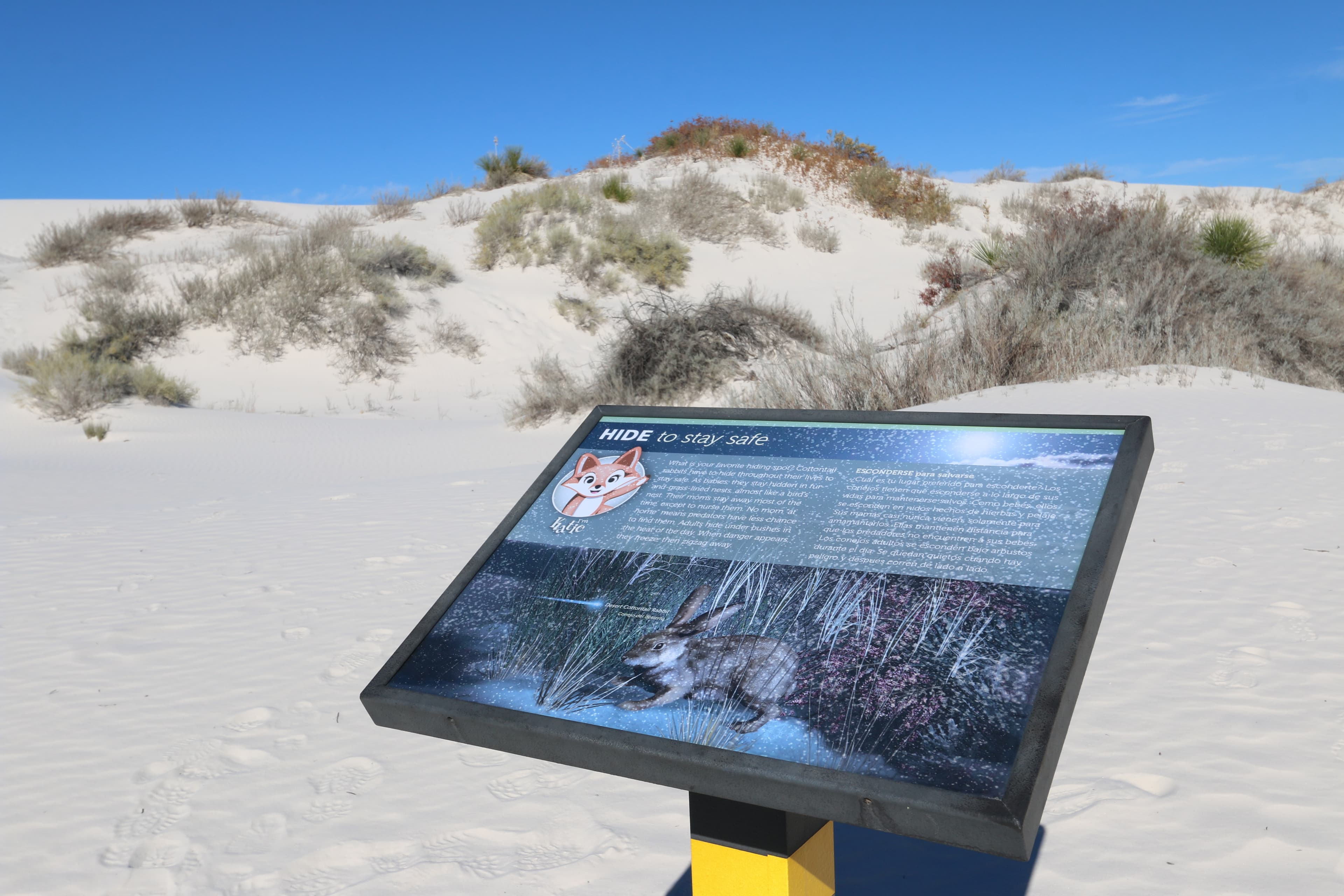 "Hide to Stay Safe" Interpretive Sign