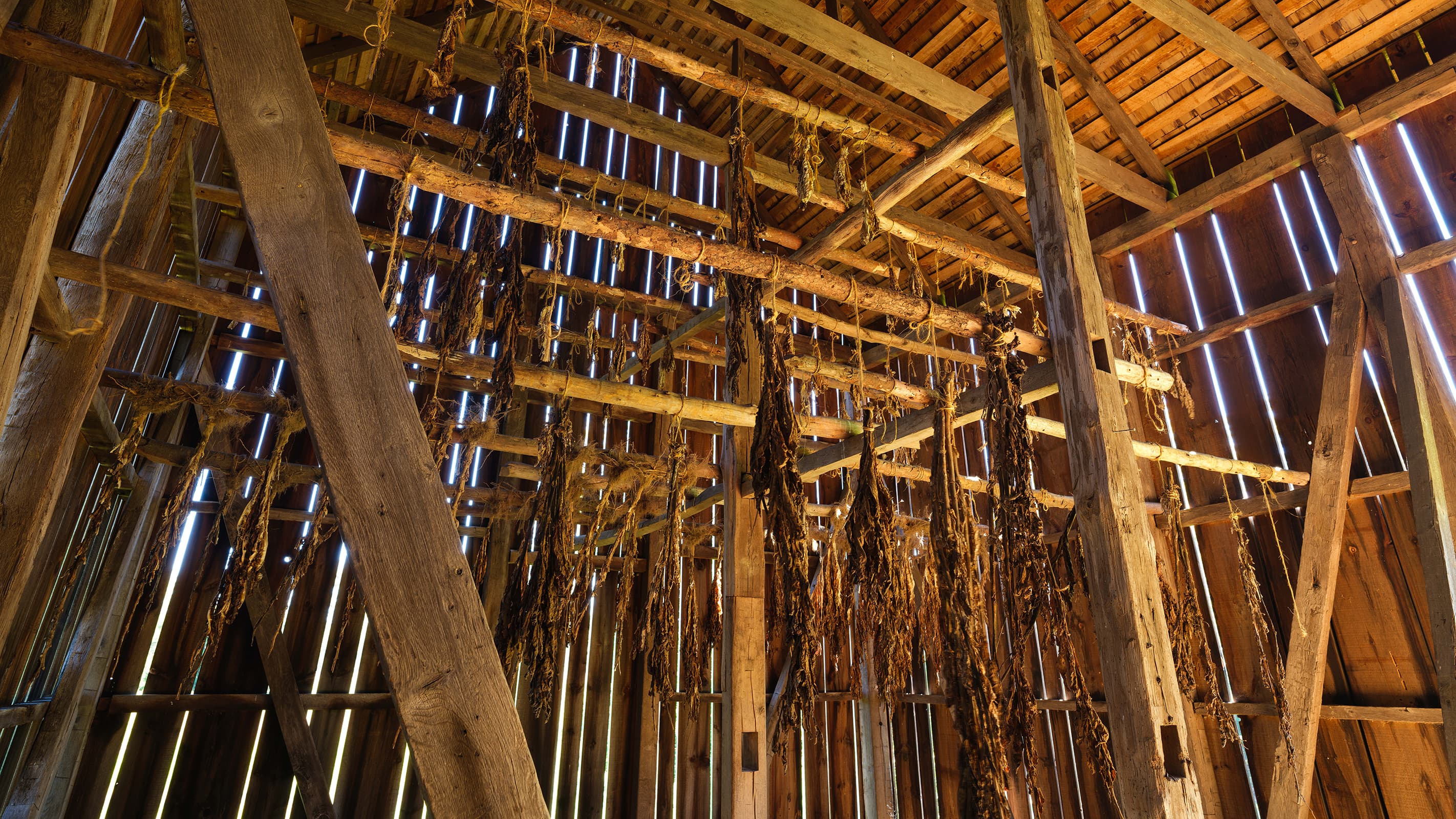 The Tobacco Barn