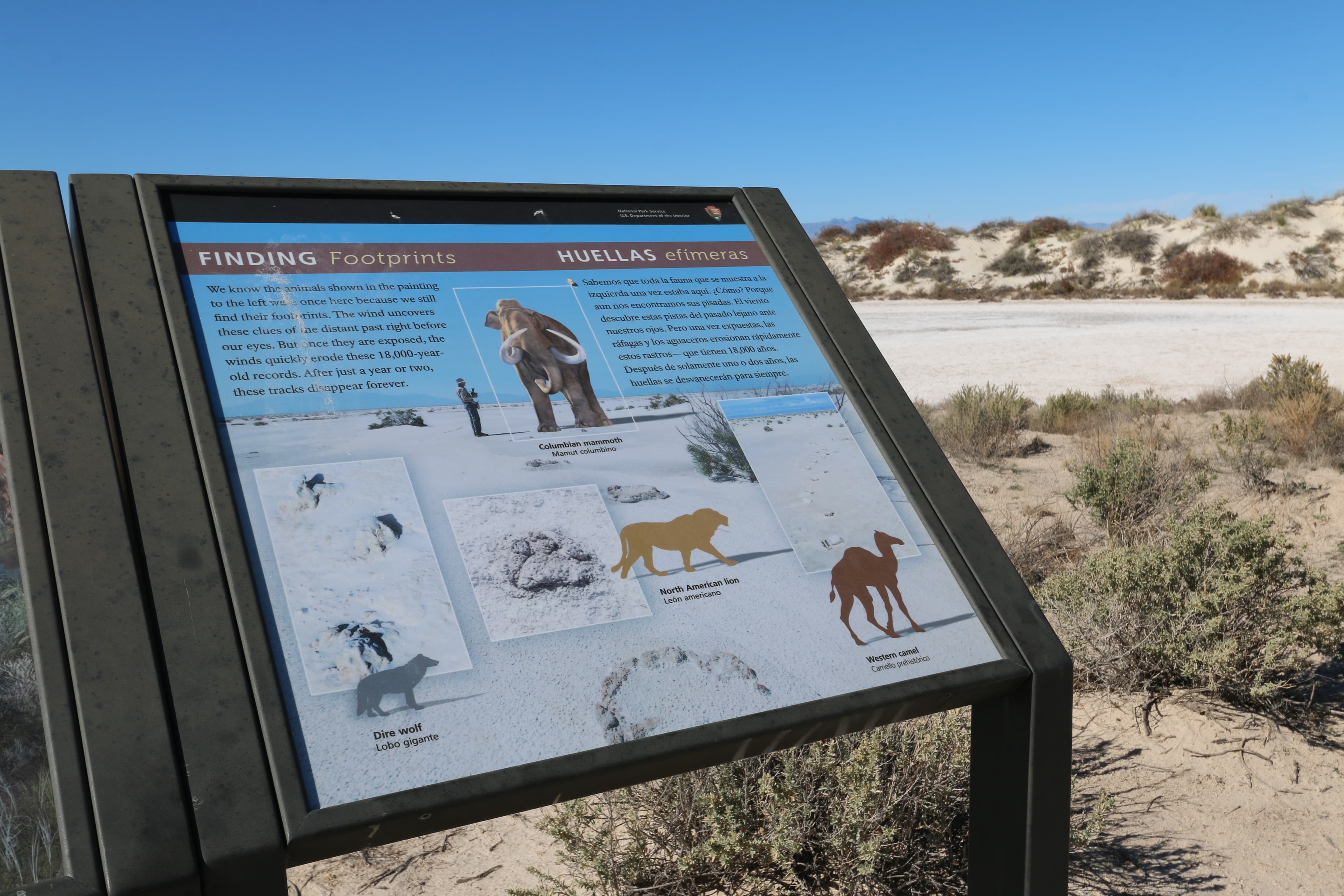 "Finding Footprints" Interpretive Sign