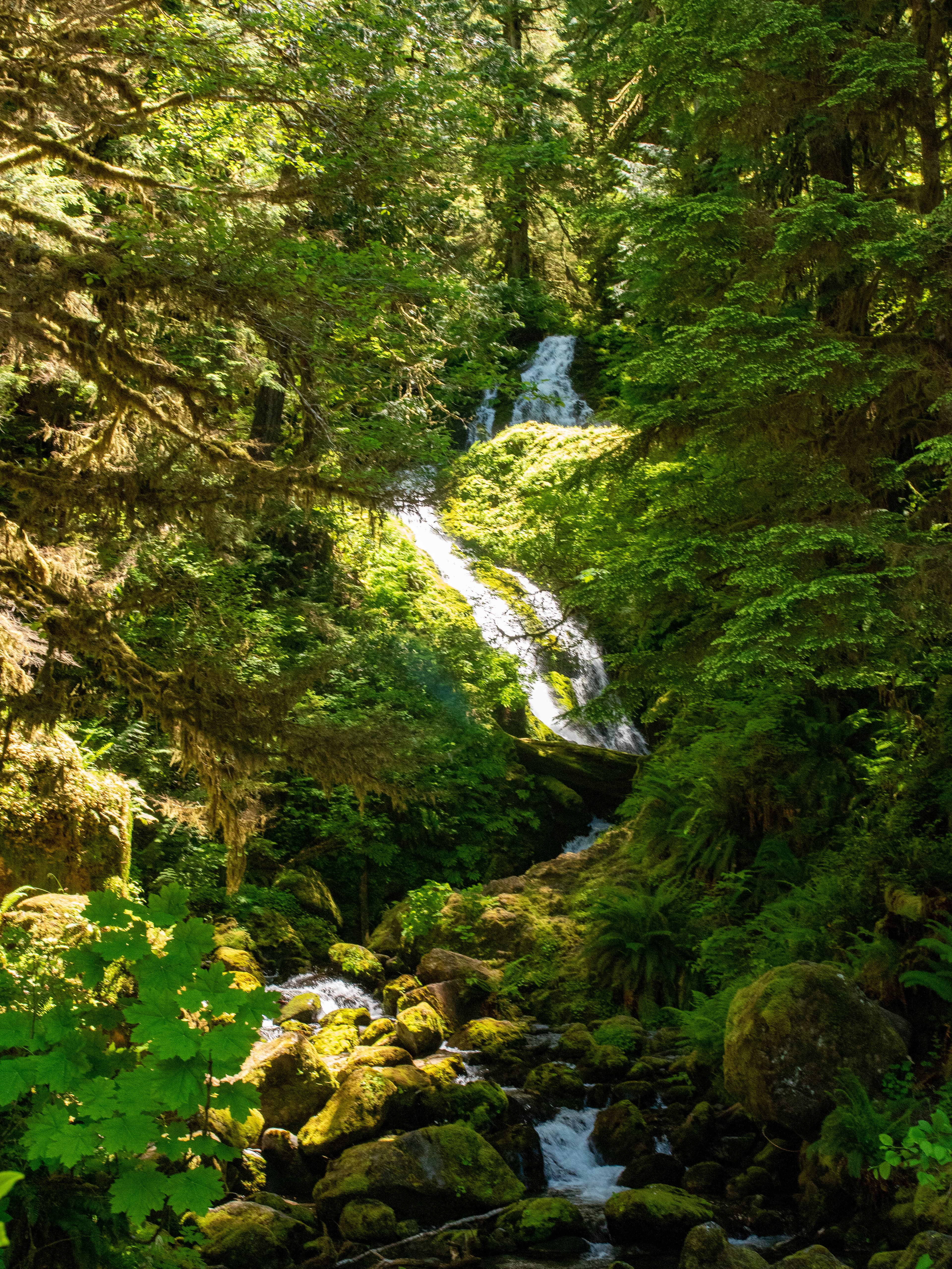 Bunch Falls
