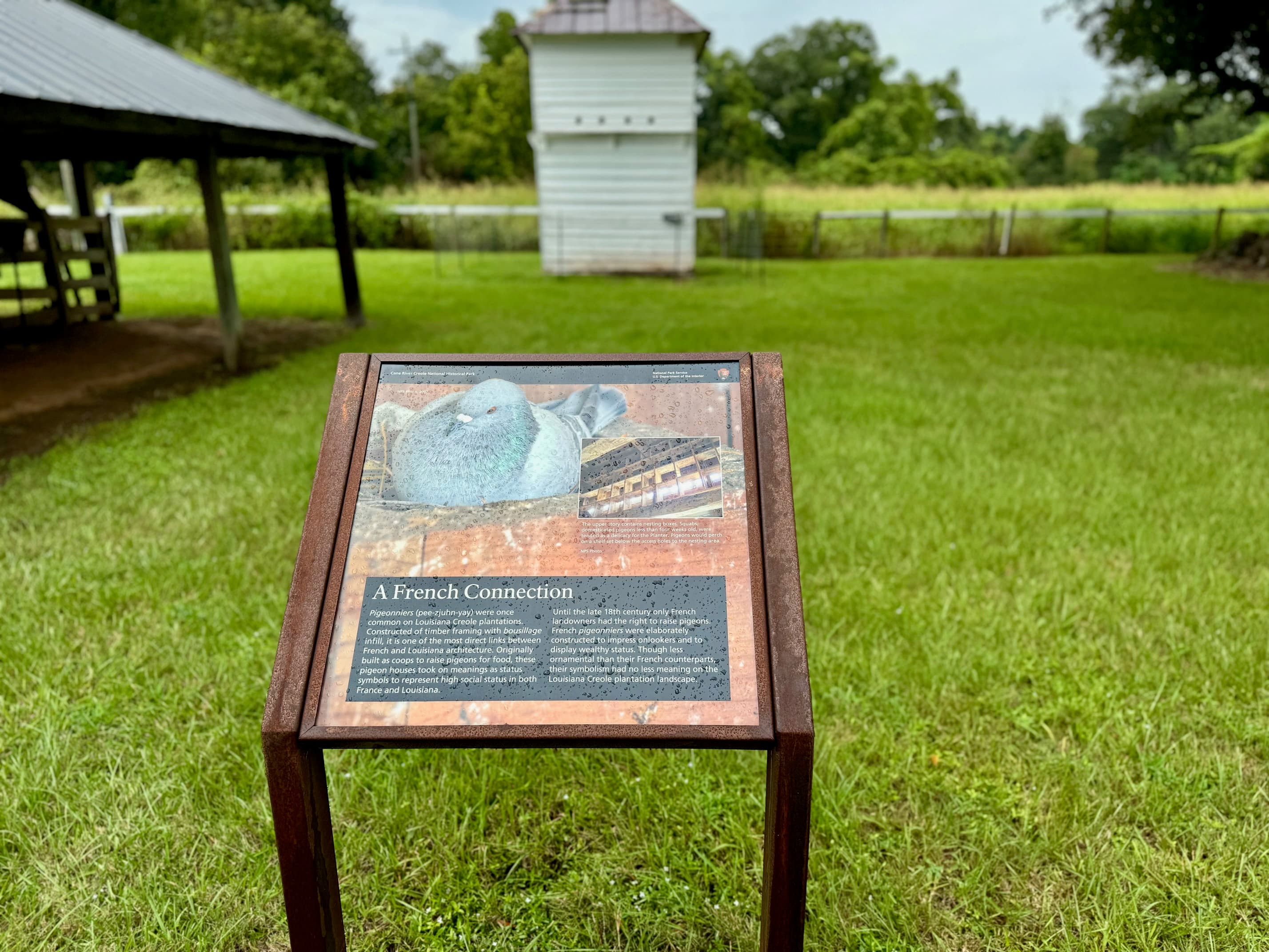 A French Connection on Magnolia Plantation
