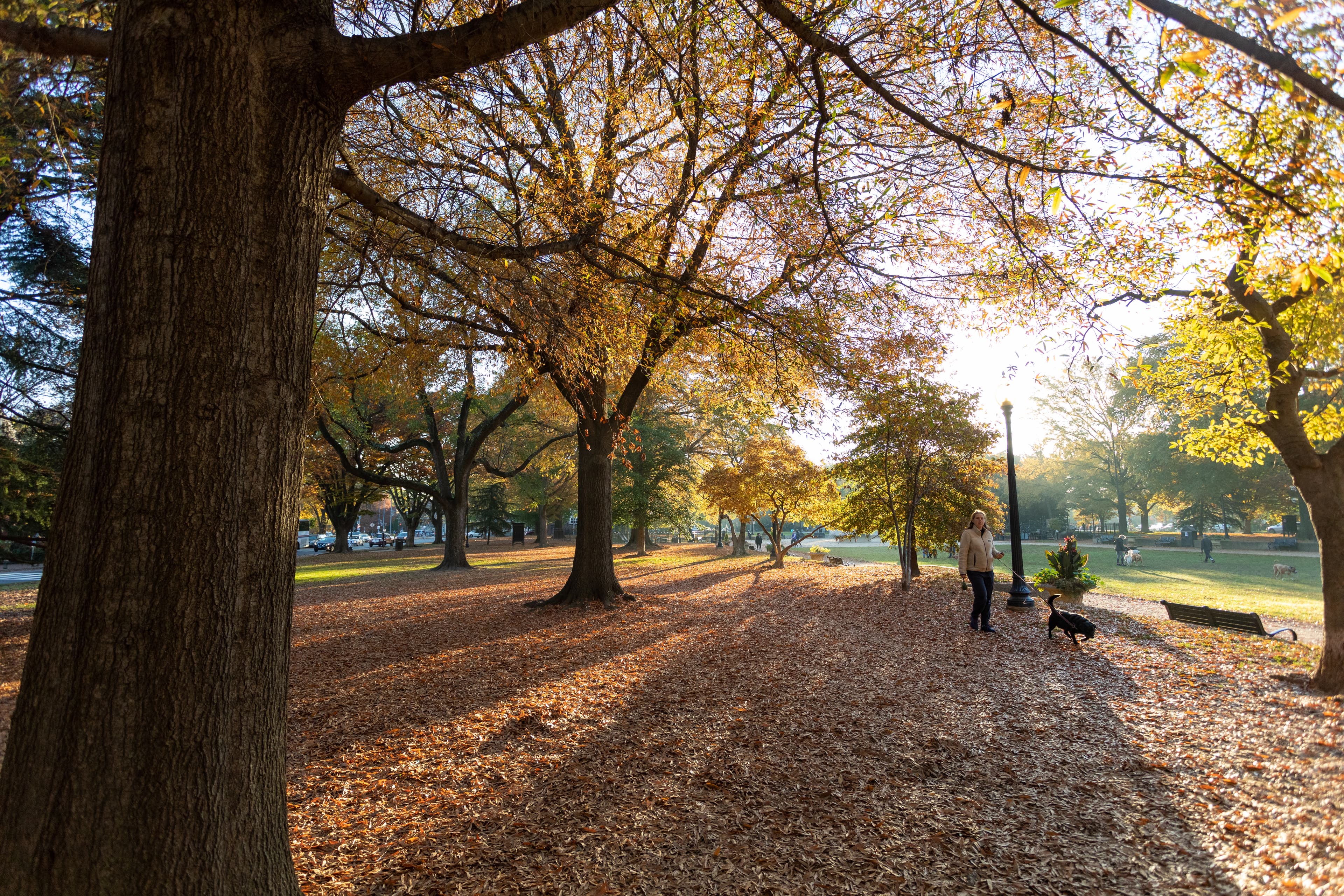 Lincoln Park