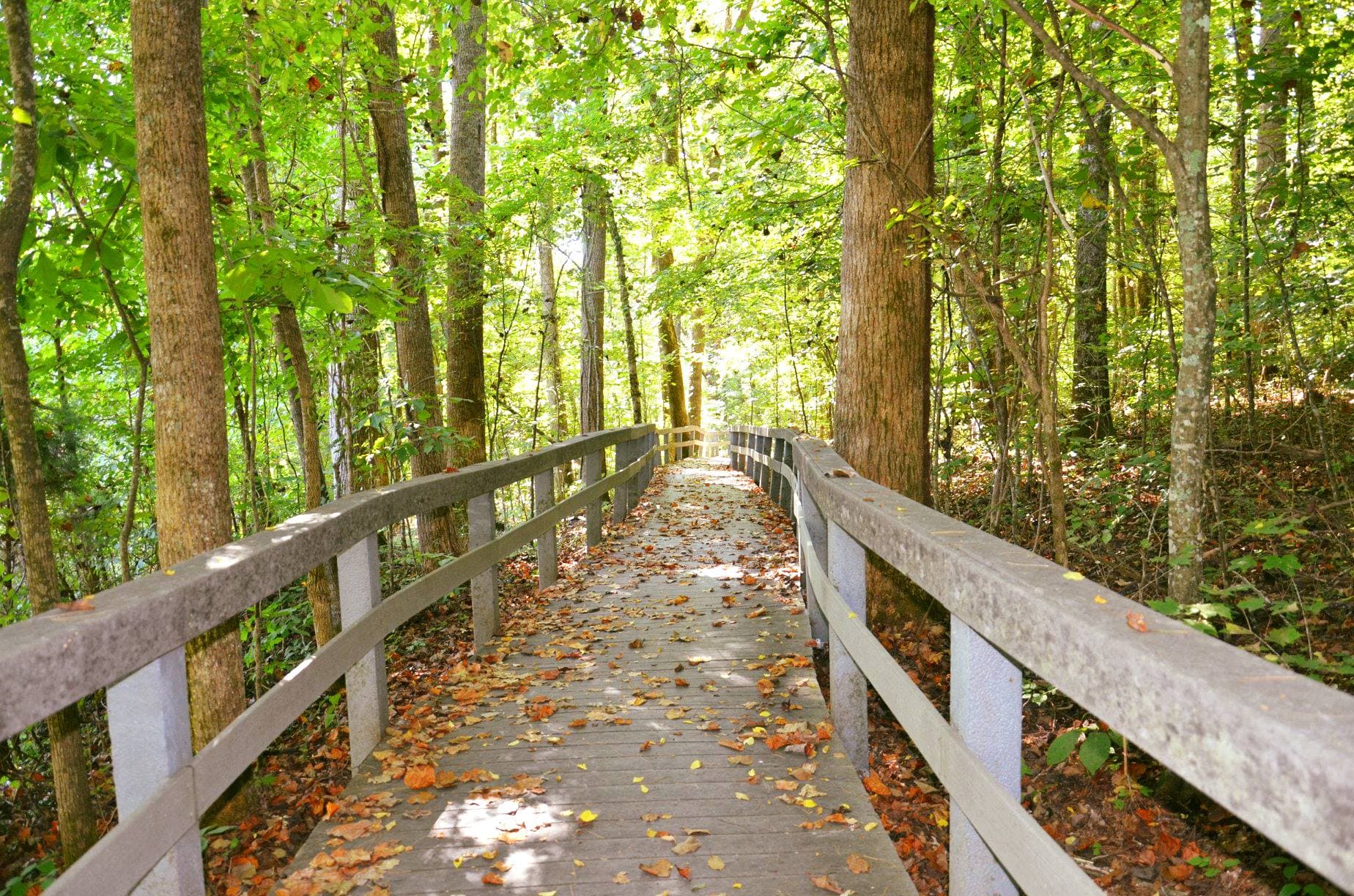 Beginning of the Boardwalk