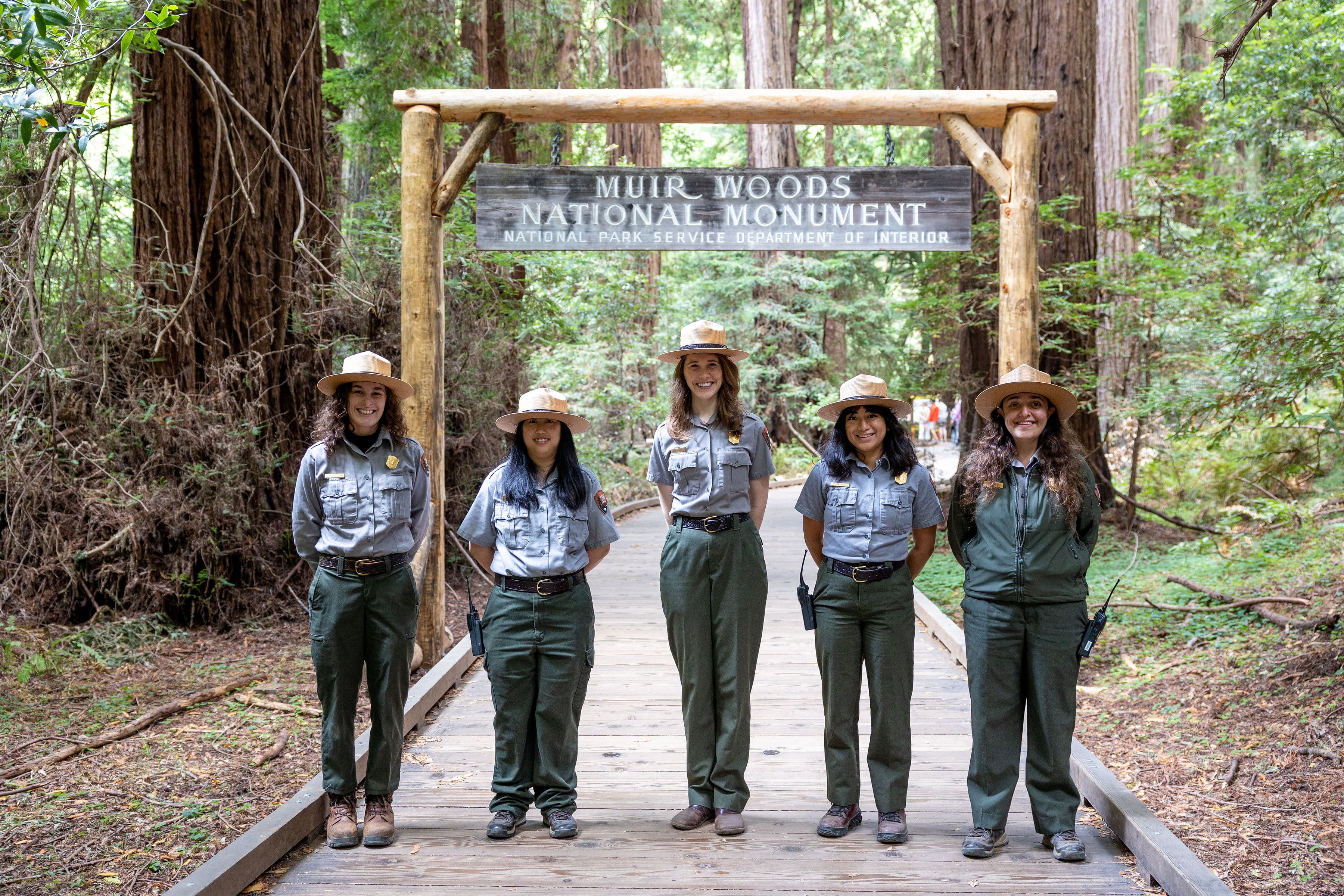Muir Woods Arch