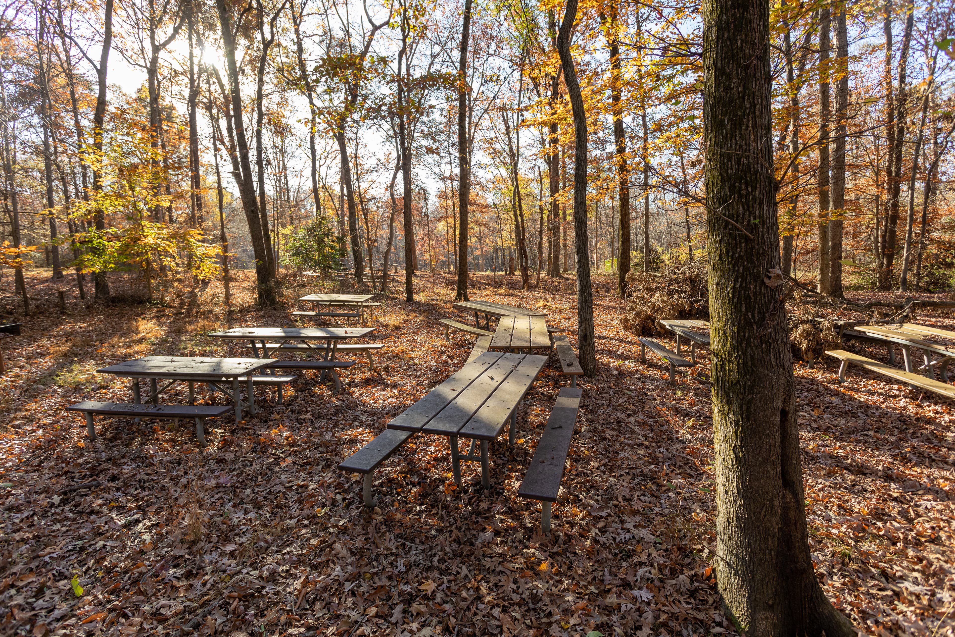 Laurel Picnic Area- Reservations Only