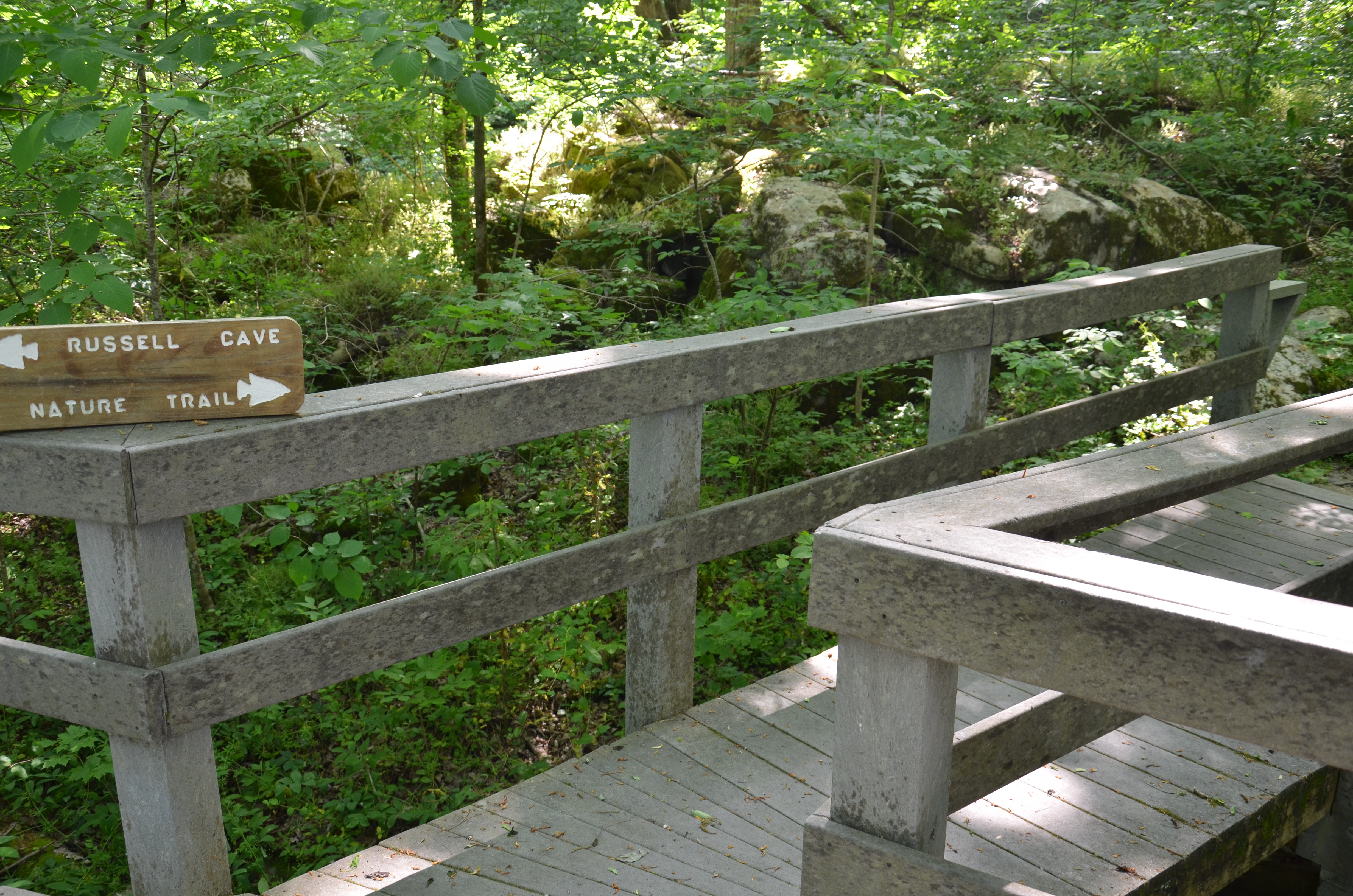 Trail Sign by the Sinkhole