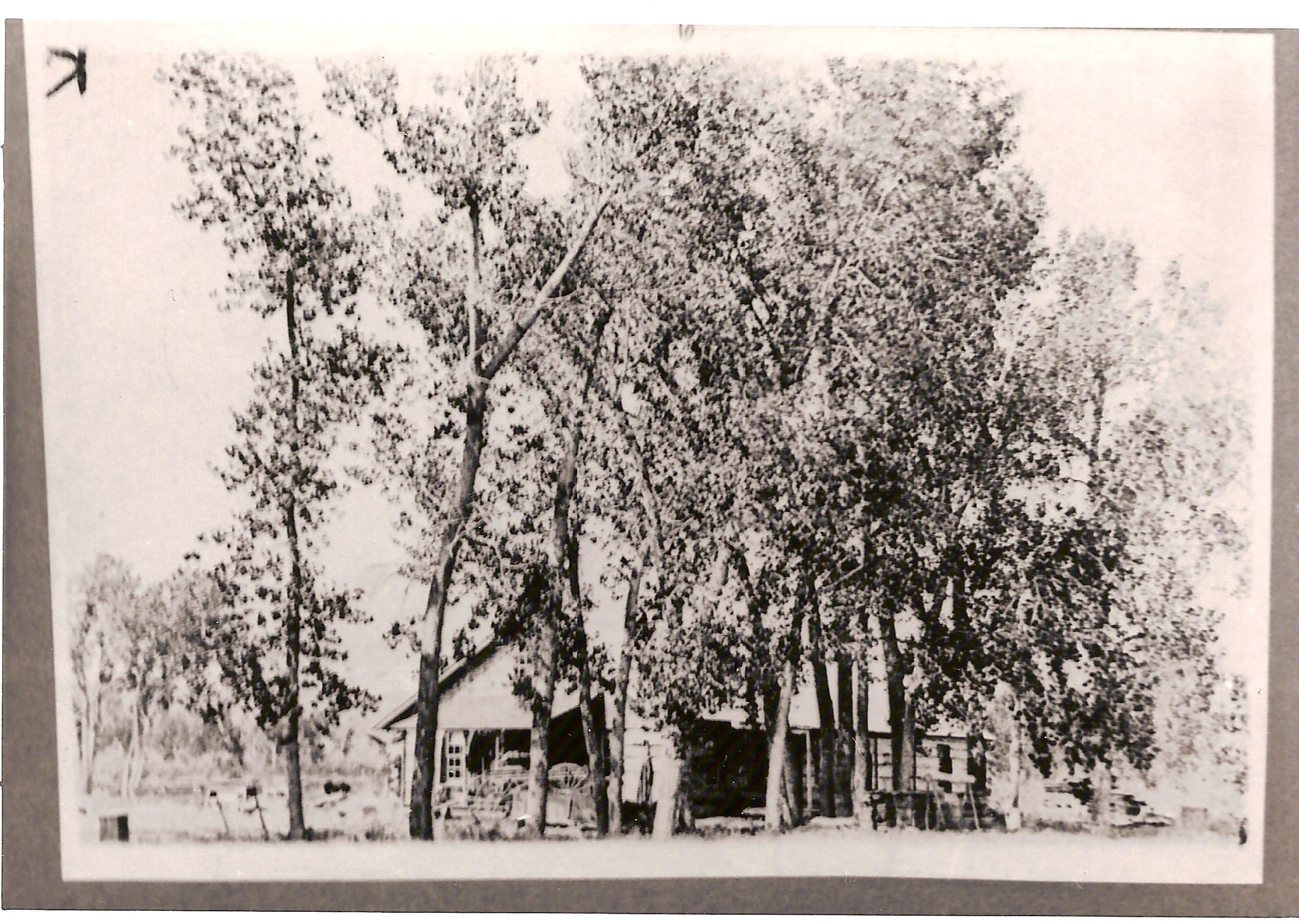 A Home on the Little Missouri