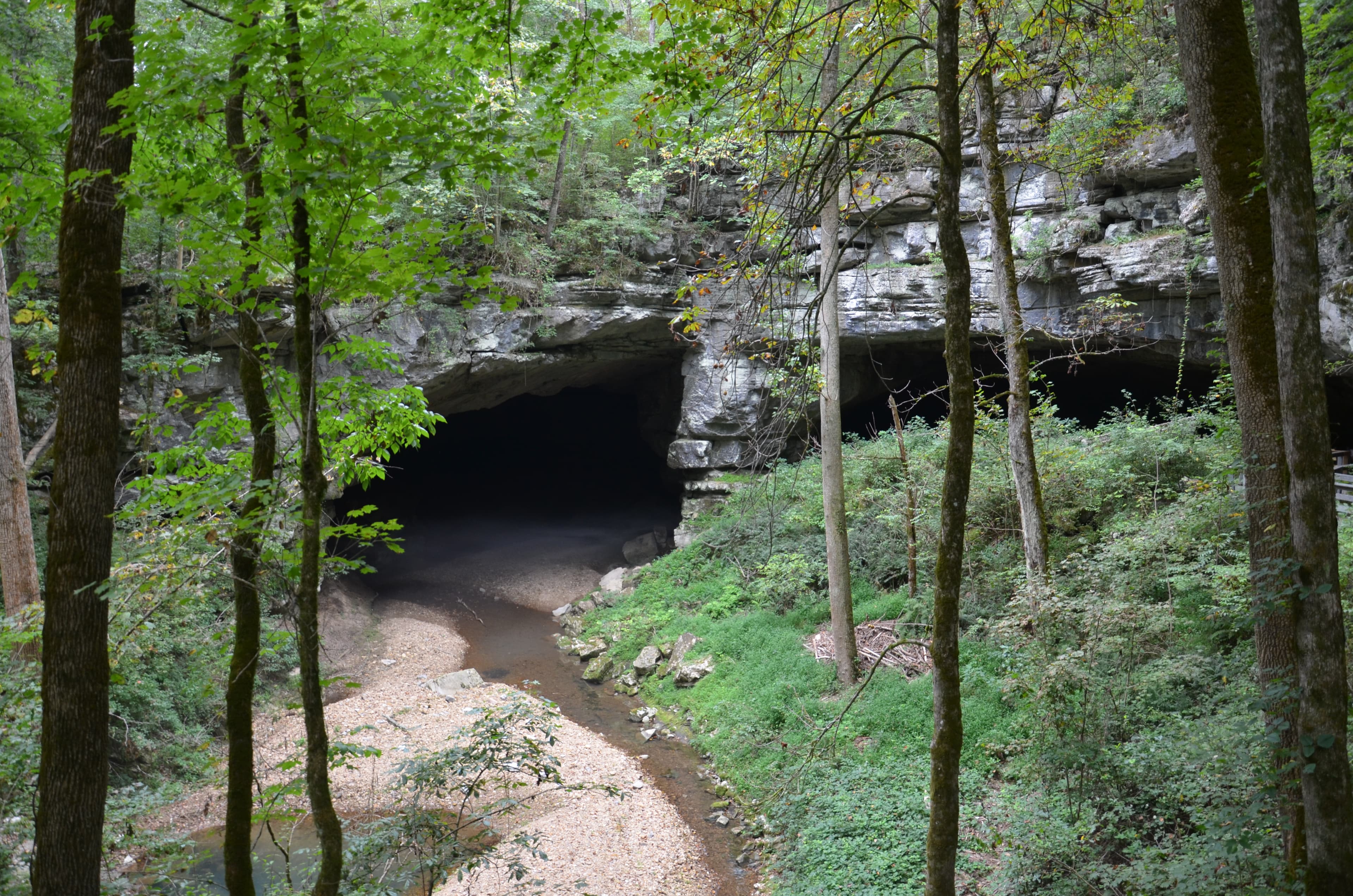 First View of Russell Cave