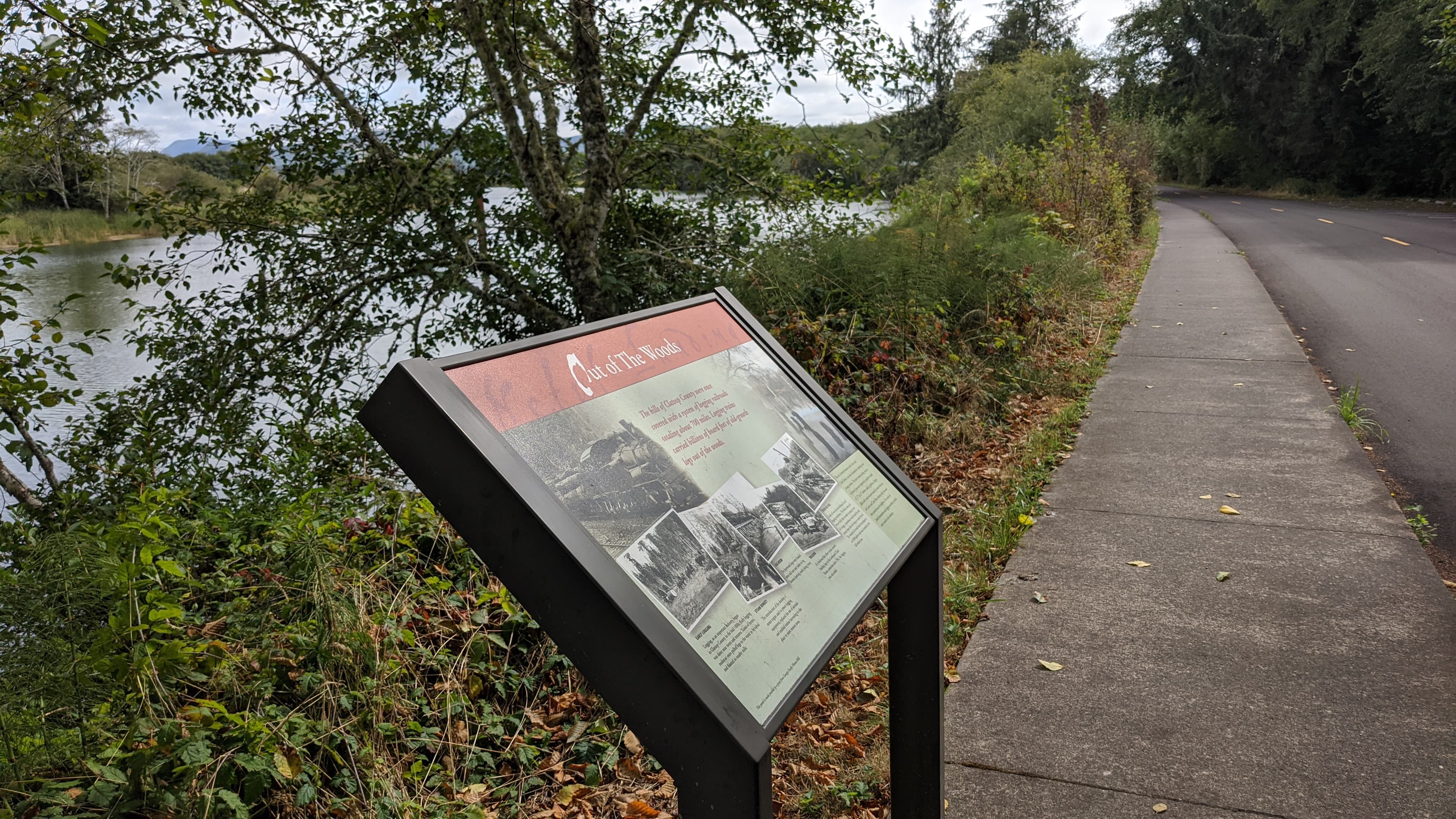 "Out of the Woods" Sign at North Netul Landing