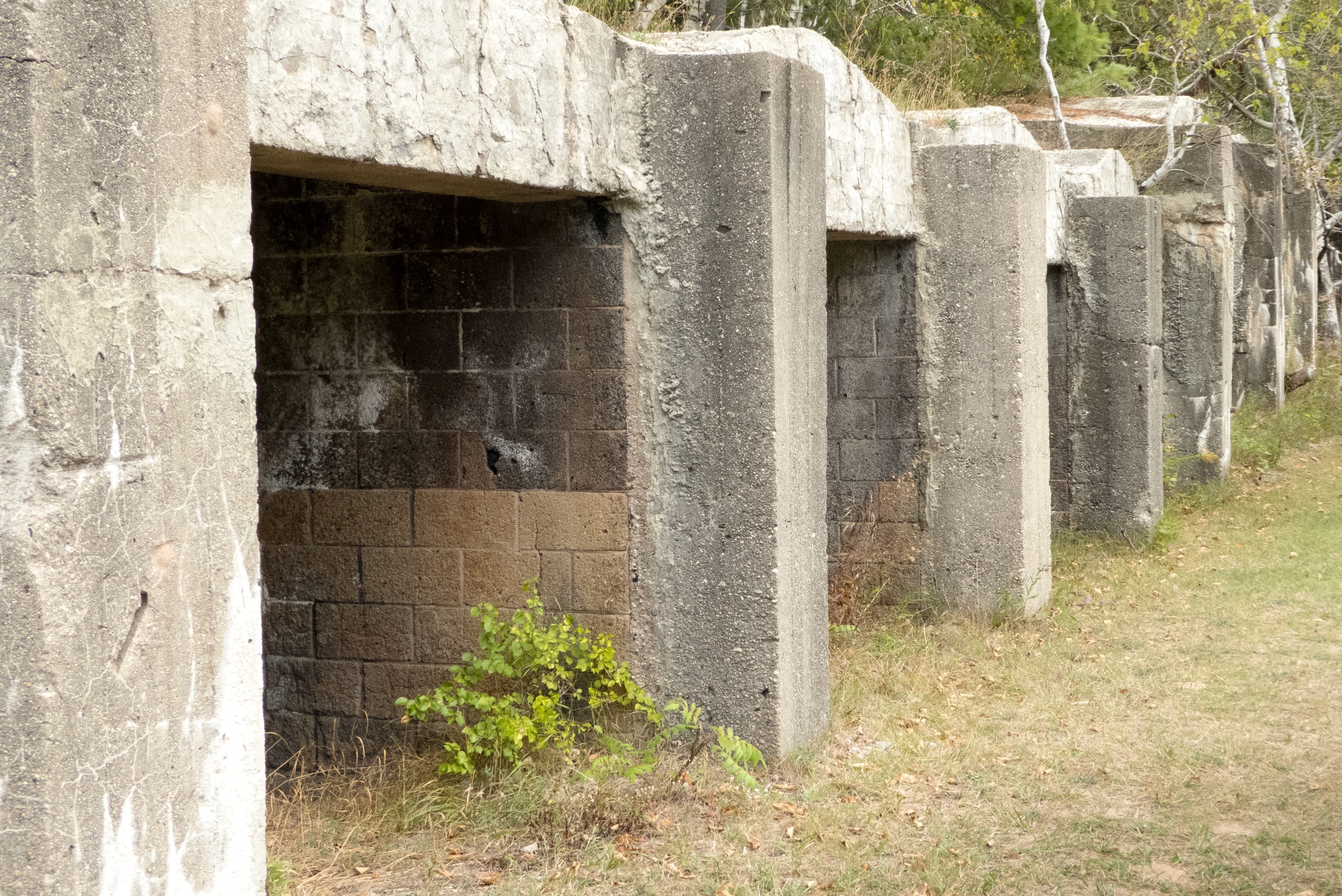 Alligator Hill Charcoal Kilns