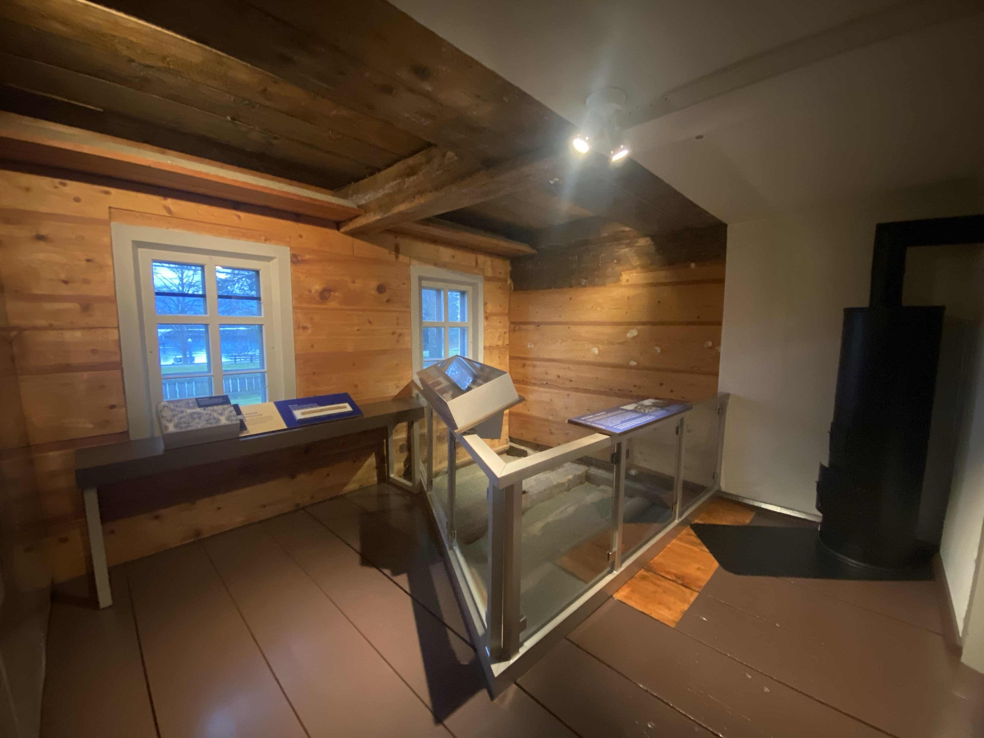 Building a Colony Exhibit