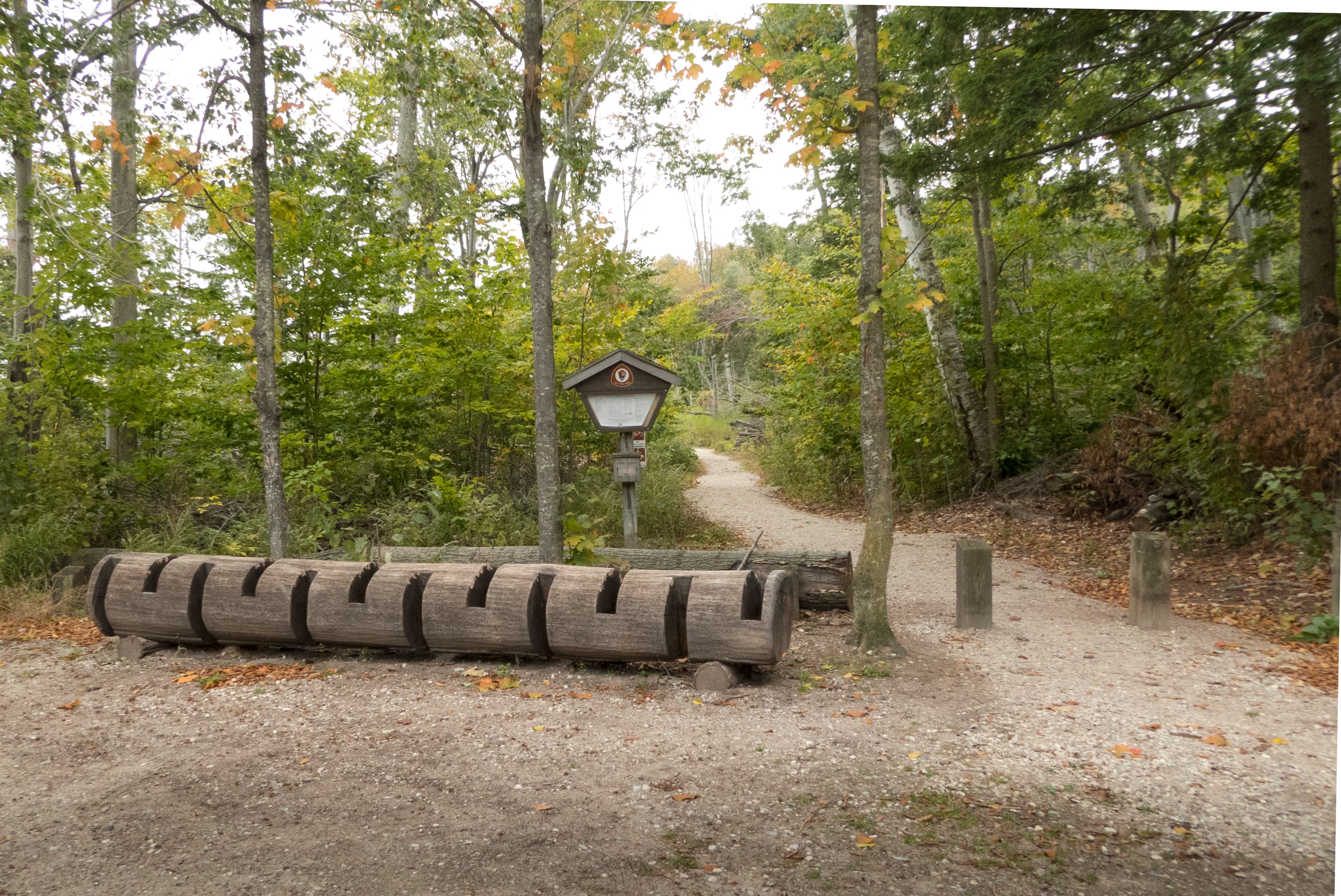 Alligator Hill Trail - Forest Haven Trailhead
