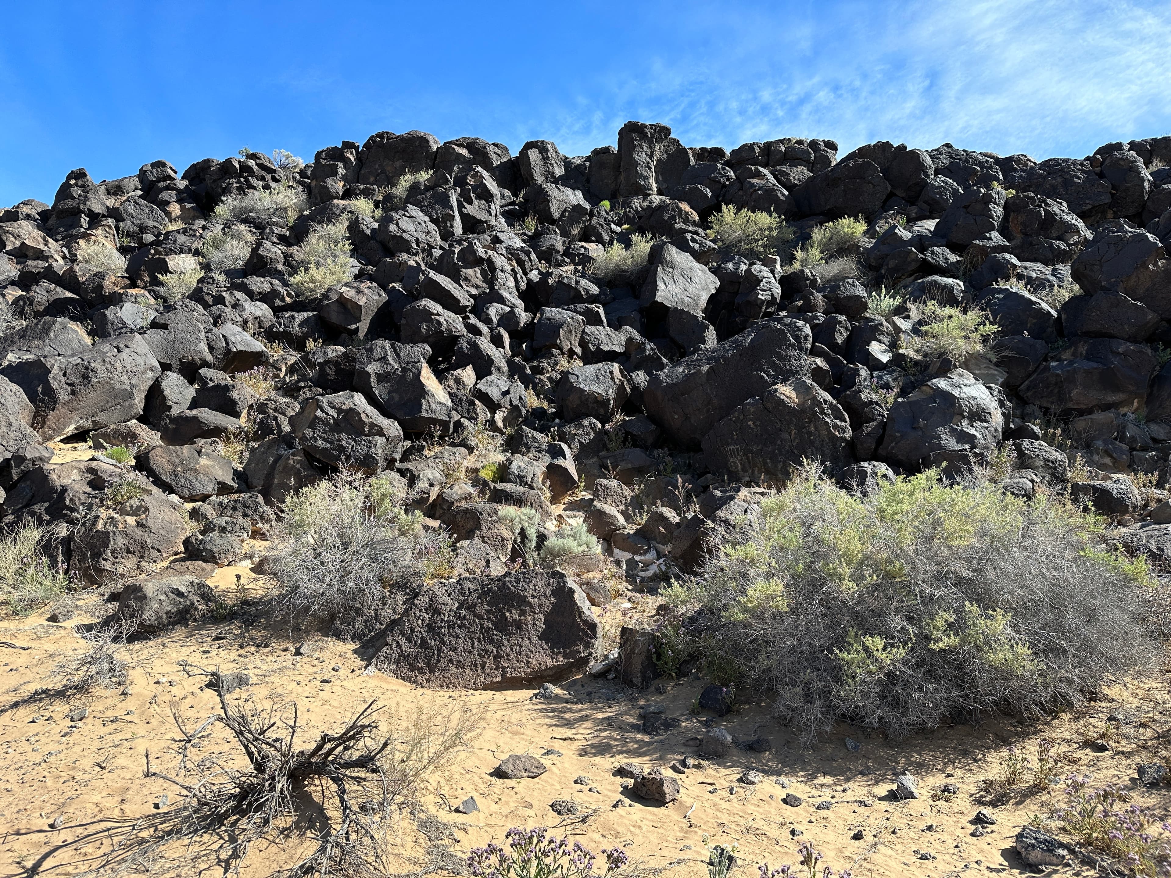 Piedras Marcadas Canyon Petroglyph Viewing Trail Stop 1
